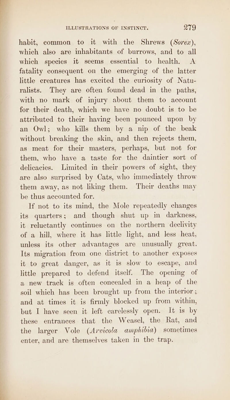 habit, common to it with the Shrews (Sorex), which also are inhabitants of burrows, and to all which species it seems essential to health. &lt;A fatality consequent on the emerging of the latter little creatures has excited the curiosity of Natu- ralists. They are often found dead in the paths, with no mark of injury about them to account for their death, which we have no doubt is to be attributed to their having been pounced upon by an Owl; who kills them by a nip of the beak without breaking the skin, and then rejects them, as meat for their masters, perhaps, but not for them, who have a taste for the daintier sort of delicacies. Limited in their powers of sight, they are also surprised by Cats, who immediately throw them away, as not liking them. Their deaths may be thus accounted for. If not to its mind, the Mole repeatedly changes its quarters; and though shut up in darkness, it reluctantly continues on the northern declivity of a hill, where it has little light, and less heat, unless its other advantages are unusually great. Its migration from one district to another exposes it to great danger, as it is slow to escape, and little prepared to defend itself. The opening of a new track is often concealed in a heap of the soil which has been brought up from the interior ; and at times it is firmly blocked up from within, but I have seen it left carelessly open. It 1s by these entrances that the Weasel, the Rat, and the larger Vole (Arvicola amphibia) sometimes enter, and are themselves taken in the trap.