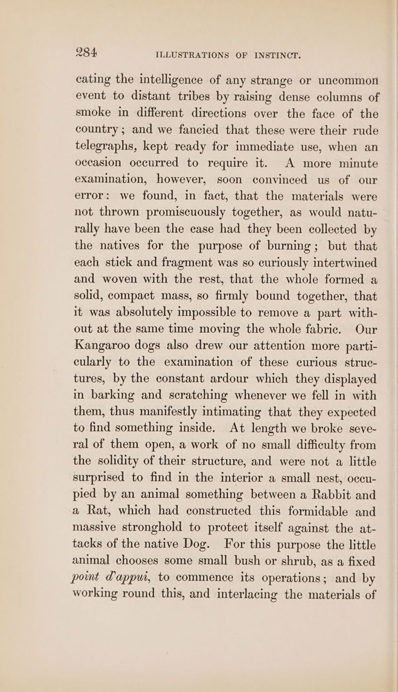 cating the intelligence of any strange or uncommon event to distant tribes by raising dense columns of smoke in different directions over the face of the country ; and we fancied that these were their rude telegraphs, kept ready for immediate use, when an occasion occurred to require it. A more minute examination, however, soon convinced us of our error: we found, in fact, that the materials were not thrown promiscuously together, as would natu- rally have been the case had they been collected by the natives for the purpose of burning; but that each stick and fragment was so curiously intertwined and woven with the rest, that the whole formed a solid, compact mass, so firmly bound together, that it was absolutely impossible to remove a part with- out at the same time moving the whole fabric. Our Kangaroo dogs also drew our attention more parti- cularly to the examination of these curious struc- tures, by the constant ardour which they displayed in barking and scratching whenever we fell in with them, thus manifestly intimating that they expected to find something inside. At length we broke seve- ral of them open, a work of no small difficulty from the solidity of their structure, and were not a little surprised to find in the interior a small nest, oceu- pied by an animal something between a Rabbit and a Rat, which had constructed this formidable and massive stronghold to protect itself against the at- tacks of the native Dog. For this purpose the little animal chooses some small bush or shrub, as a fixed pot Papput, to commence its operations; and by working round this, and interlacing the materials of