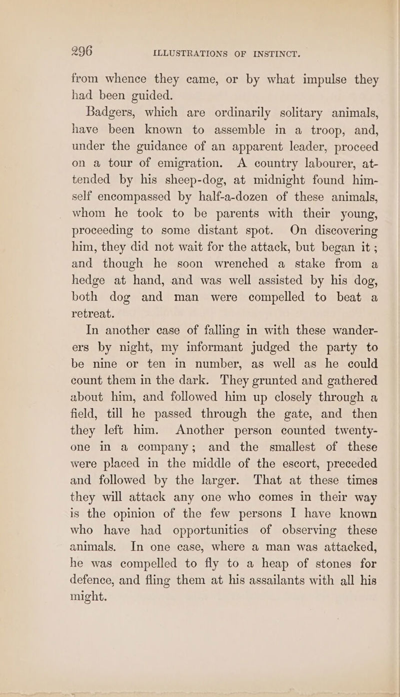 from whence they came, or by what impulse they had been guided. Badgers, which are ordinarily solitary animals, have been known to assemble in a troop, and, under the guidance of an apparent leader, proceed on a tour of emigration. A country labourer, at- tended by his sheep-dog, at midnight found him- self encompassed by half-a-dozen of these animals, whom he took to be parents with their young, proceeding to some distant spot. On discovering him, they did not wait for the attack, but began it ; and though he soon wrenched a stake from a hedge at hand, and was well assisted by his dog, both dog and man were compelled to beat a retreat. In another ease of falling in with these wander- ers by night, my informant judged the party to be nine or ten in number, as well as he could eount them in the dark. They grunted and gathered about him, and followed him up closely through a field, till he passed through the gate, and then they left him. Another person counted twenty- one in a company; and the smallest of these were placed in the middle of the escort, preceded and followed by the larger. That at these times they will attack any one who comes in their way is the opinion of the few persons I have known who have had opportunities of observing these animals. In one case, where a man was attacked, he was compelled to fly to a heap of stones for defence, and fling them at his assailants with all his might.