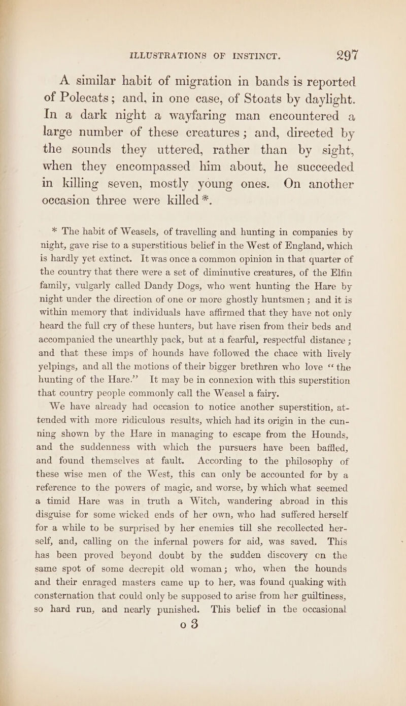 A similar habit of migration in bands is reported of Polecats; and, in one case, of Stoats by daylight. In a dark night a wayfaring man encountered a large number of these creatures; and, directed by the sounds they uttered, rather than by sight, when they encompassed him about, he succeeded in killing seven, mostly young ones. On another occasion three were killed *. * The habit of Weasels, of travelling and hunting in companies by night, gave rise to a superstitious belief in the West of England, which is hardly yet extinct. It was once a common opinion in that quarter of the country that there were a set of diminutive creatures, of the Elfin family, vulgarly called Dandy Dogs, who went hunting the Hare by night under the direction of one or more ghostly huntsmen ; and it is within memory that individuals have affirmed that they have not only heard the full cry of these hunters, but have risen from their beds and accompanied the unearthly pack, but at a fearful, respectful distance ; and that these imps of hounds have followed the chace with lively yelpings, and all the motions of their bigger brethren who love “the hunting of the Hare.”’ It may be in connexion with this superstition that country people commonly call the Weasel a fairy. We have already had occasion to notice another superstition, at- tended with more ridiculous results, which had its origin in the cun- ning shown by the Hare in managing to escape from the Hounds, and the suddenness with which the pursuers have been baffled, and found themselves at fault. According to the philosophy of these wise men of the West, this can only be accounted for by a reference to the powers of magic, and worse, by which what seemed a timid Hare was in truth a Witch, wandering abroad in this disguise for some wicked ends of her own, who had suffered herself for a while to be surprised by her enemies till she recollected her- self, and, calling on the infernal powers for aid, was saved. This has been proved beyond doubt by the sudden discovery cn the same spot of some decrepit old woman; who, when the hounds and their enraged masters came up to her, was found quaking with consternation that could only be supposed to arise from her guiltiness, so hard run, and nearly punished. This belief in the occasional 03