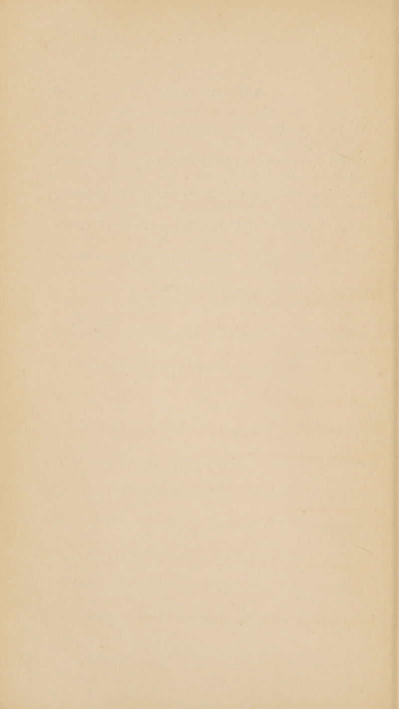 ae E ' i meet Vs nee li ee, pa ae >