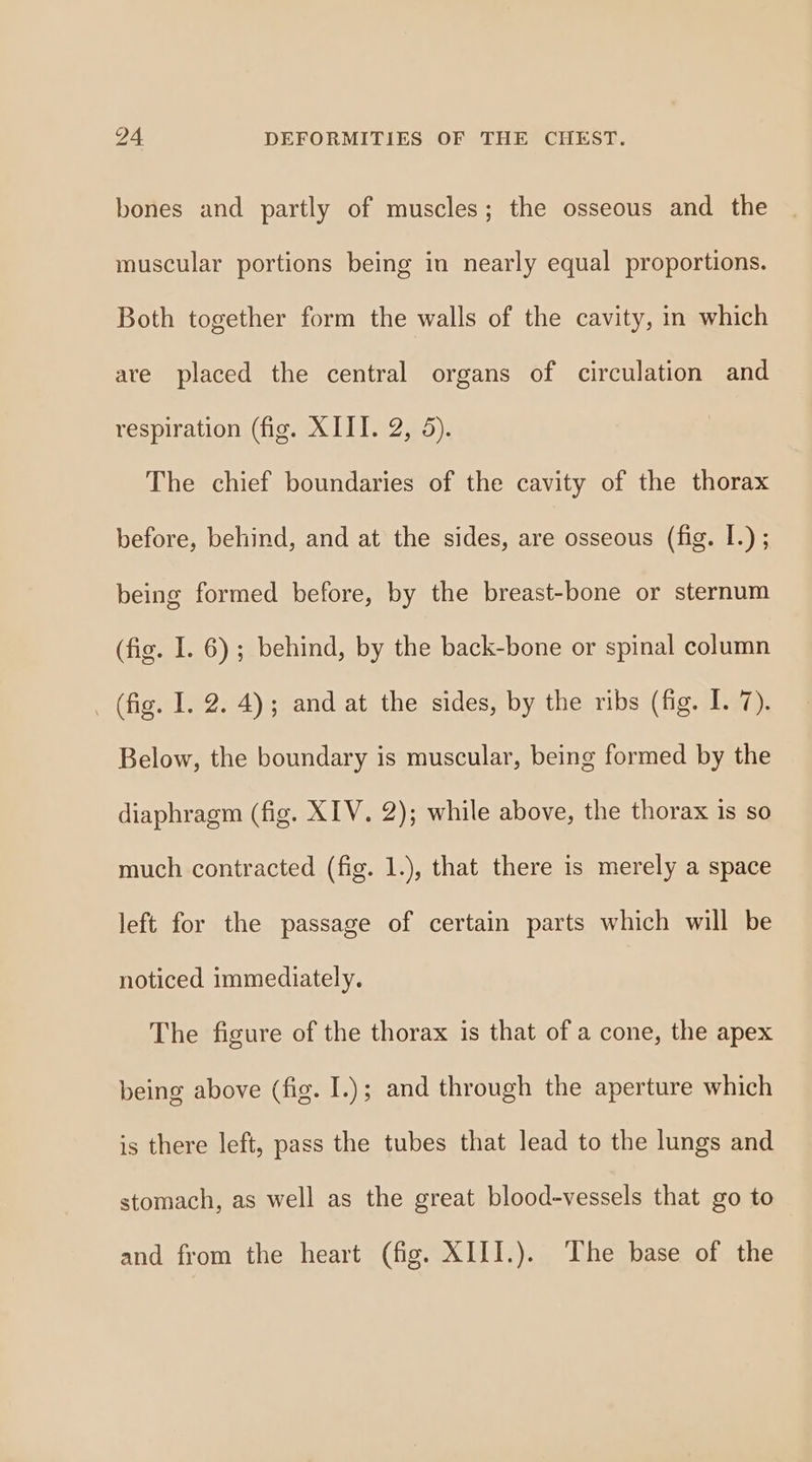 bones and partly of muscles; the osseous and the muscular portions being in nearly equal proportions. Both together form the walls of the cavity, in which are placed the central organs of circulation and respiration (fig. XIII. 2, 5). The chief boundaries of the cavity of the thorax before, behind, and at the sides, are osseous (fig. I.) ; being formed before, by the breast-bone or sternum (fig. I. 6); behind, by the back-bone or spinal column _ (fig. I. 2. 4); and at the sides, by the ribs (fig. I. 7). Below, the boundary is muscular, being formed by the diaphragm (fig. XIV. 2); while above, the thorax is so much contracted (fig. 1.), that there is merely a space left for the passage of certain parts which will be noticed immediately. The figure of the thorax is that of a cone, the apex being above (fig. I.); and through the aperture which is there left, pass the tubes that lead to the lungs and stomach, as well as the great blood-vessels that go to and from the heart (fig. XIII.). The base of the