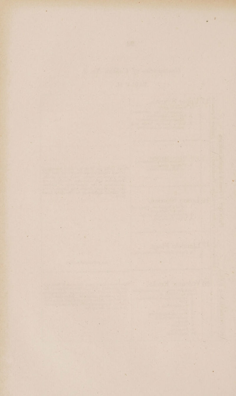 Ca ened : eet vig eats re a a < Ms ot Ue ee a psa Meena = Po eee a 4 ale a Ve MERELY st VS y= - i. ERE 1 4 ) qanney Brea Lie oe efit, ay sara ale igtogeo em eee ea ¥ y +7 ay mm: ; gt AVES AIE “Oa mitt of biel. ate . i“ oe dha tN tm a an 7 : 7 Ae : ry > cave ta -—® SAY bet . “¥ Ae :