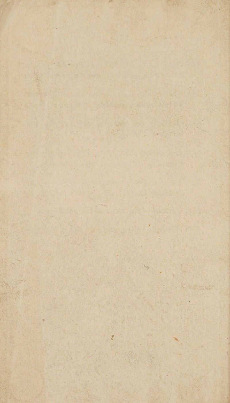 » ‘See eet > ee Sig » vn Foes *, r Kane ‘y ae ‘am Pty ae Viet aa at “4 ve