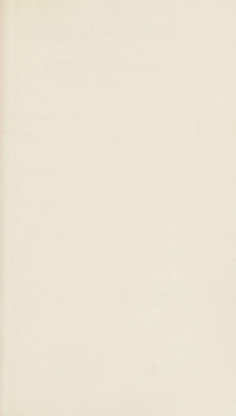 ; ls | 5 \ ; ie : , ; 7 a 2 : a . 2 3 ‘ 7 = a ; ; ar ae : 4 _ = Ps 9 - - * = , , «a = . . bs 7 _ - —_ on — “a -_ De 6 TR woul oS @ Pateei a Gt 4). &lt;2 ° ; H 7 1 - : a0 : 7 ? ( . : t a -\ sk