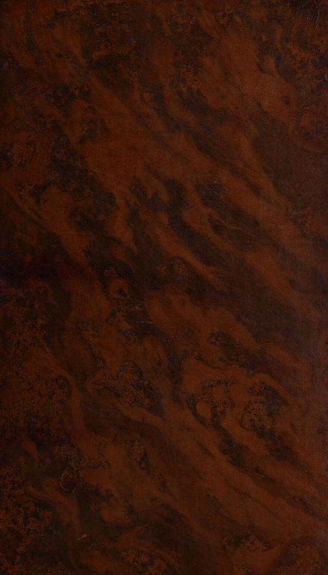 digitised image 1
