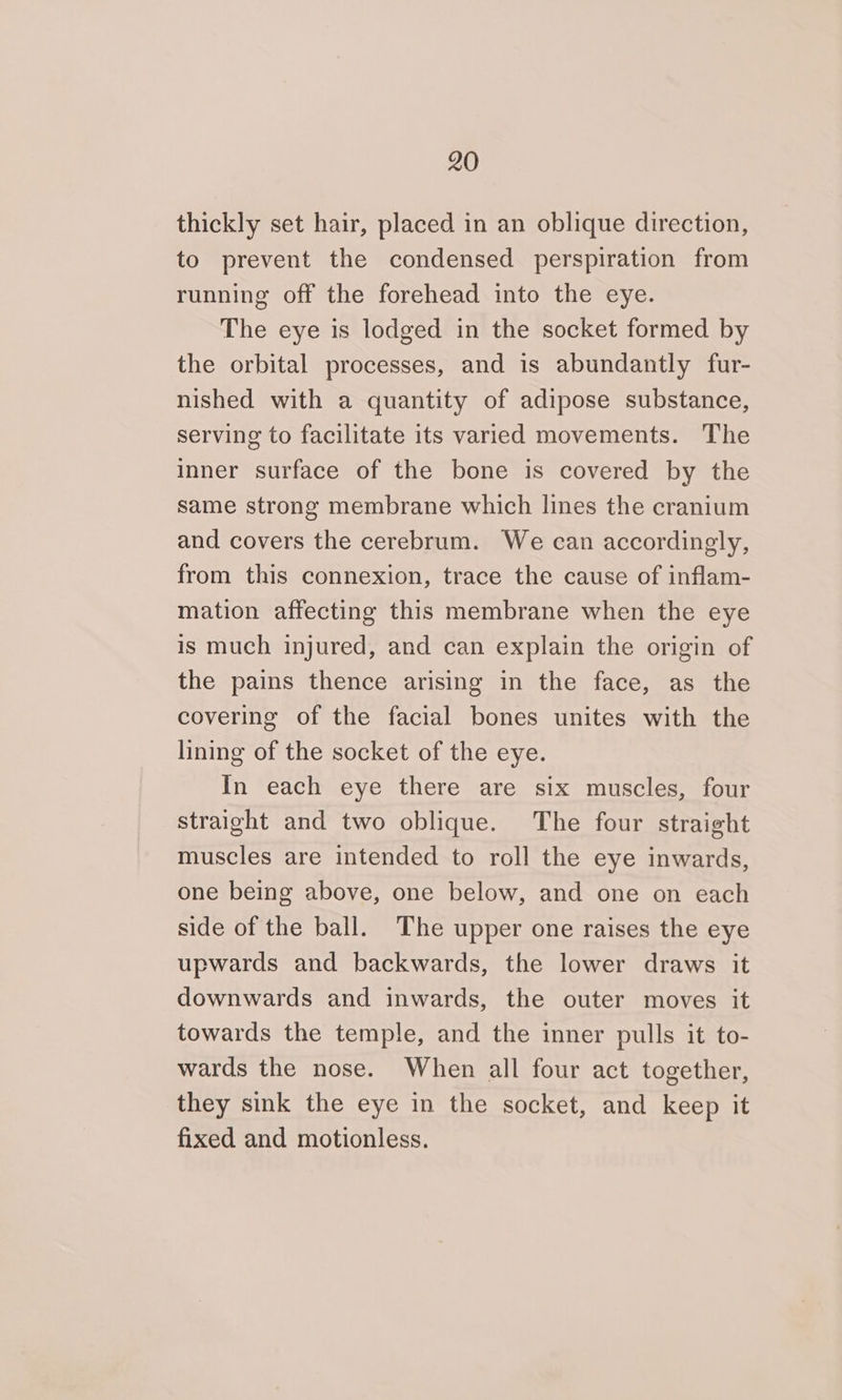 thickly set hair, placed in an oblique direction, to prevent the condensed perspiration from running off the forehead into the eye. The eye is lodged in the socket formed by the orbital processes, and is abundantly fur- nished with a quantity of adipose substance, serving to facilitate its varied movements. The inner surface of the bone is covered by the same strong membrane which lines the cranium and covers the cerebrum. We can accordingly, from this connexion, trace the cause of inflam- mation affecting this membrane when the eye is much injured, and can explain the origin of the pains thence arising in the face, as the covering of the facial bones unites with the lining of the socket of the eye. In each eye there are six muscles, four straight and two oblique. The four straight muscles are intended to roll the eye inwards, one being above, one below, and one on each side of the ball. The upper one raises the eye upwards and backwards, the lower draws it downwards and inwards, the outer moves it towards the temple, and the inner pulls it to- wards the nose. When all four act together, they sink the eye in the socket, and keep it fixed and motionless.