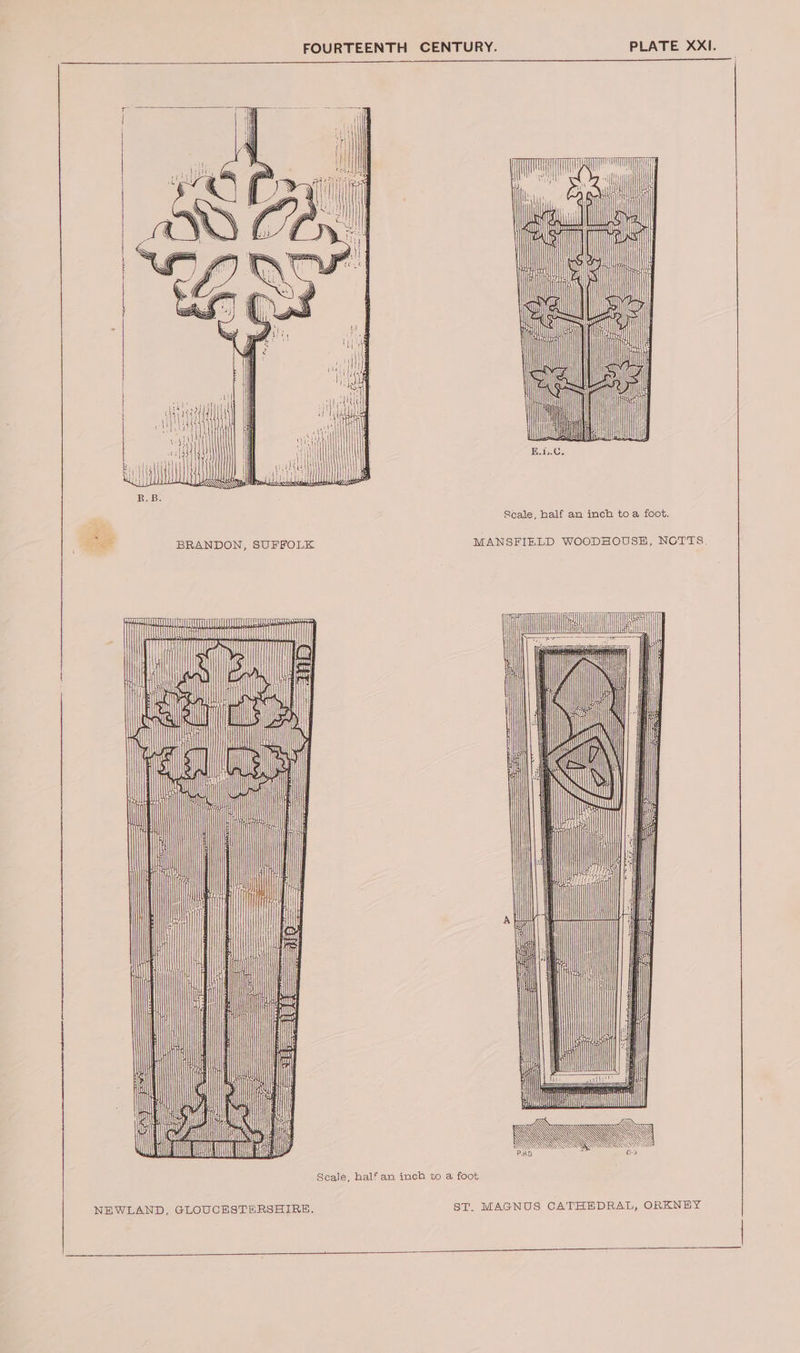 = 1 a = — Scale, half an inch toa foot. ge BRANDON, SUFFOLK MANSFIELD WOODHOUSE, NOTTS. Scale, half an inch to a foot NEWLAND, GLOUCESTERSHIRE, ST. MAGNUS CATHEDRAL, ORKNEY
