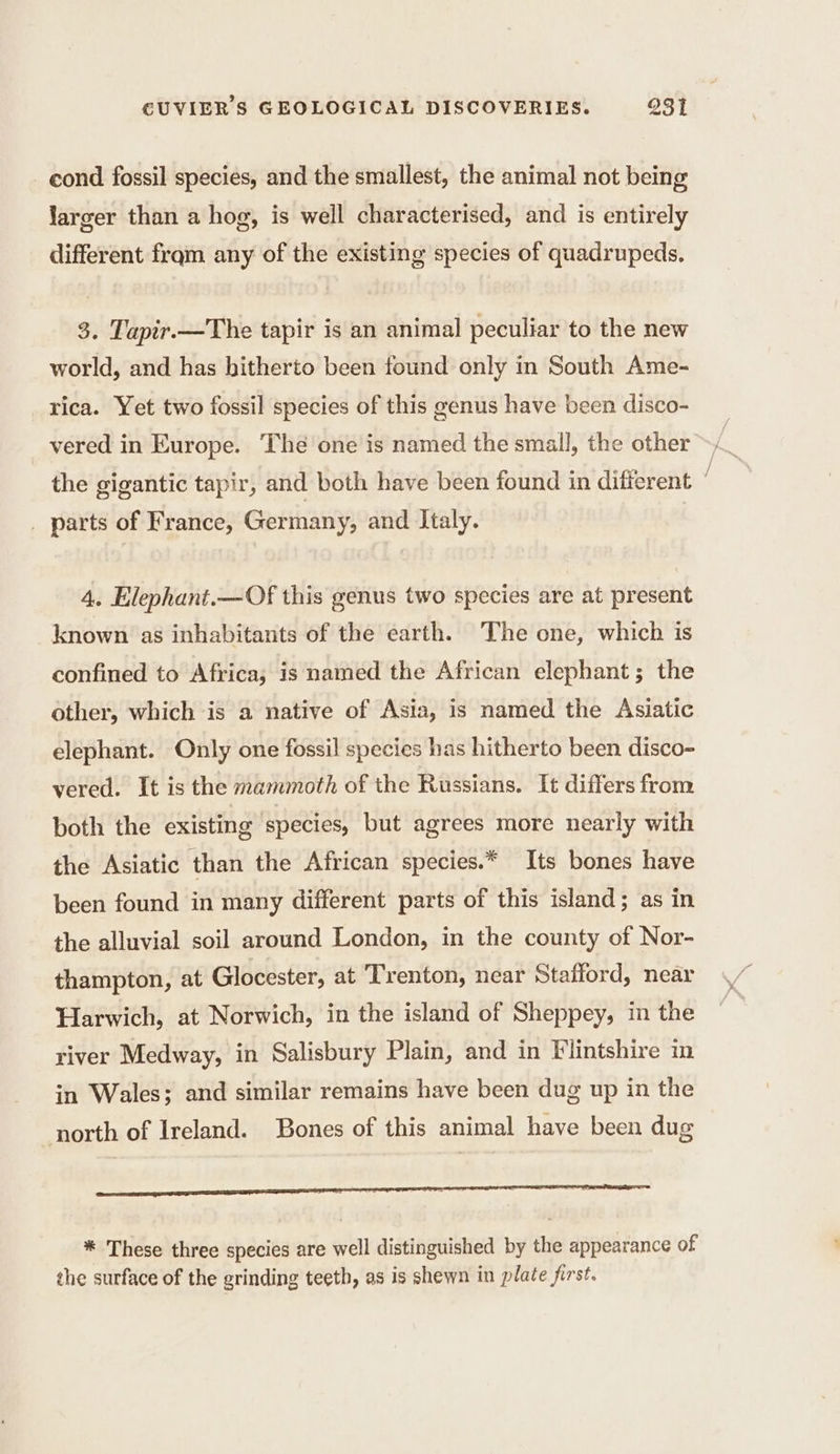 cond fossil species, and the smallest, the animal not being larger than a hog, is well characterised, and is entirely different fram any of the existing species of quadrupeds. 3. Tapir.—The tapir is an animal peculiar to the new world, and has hitherto been found only in South Ame- rica. Yet two fossil species of this genus have been disco- vered in Europe. The one is named the small, the other the gigantic tapir, and both have been found in different k . parts of France, Germany, and Italy. 4. Elephant.—Of this genus two species are at present known as inhabitants of the earth. The one, which is confined to Africa; is named the African elephant; the other, which is a native of Asia, is named the Asiatic elephant. Only one fossil species has hitherto been disco- vered. It is the mammoth of the Russians. It differs from both the existing species, but agrees more nearly with the Asiatic than the African species.* Its bones have been found in many different parts of this island; as in the alluvial soil around London, in the county of Nor- thampton, at Glocester, at Trenton, near Stafford, near Harwich, at Norwich, in the island of Sheppey, in the river Medway, in Salisbury Plain, and in Flintshire in in Wales; and similar remains have been dug up in the north of Ireland. Bones of this animal have been dug a RIRE Re * These three species are well distinguished by the appearance of the surface of the grinding teeth, as is shewn in plate first.