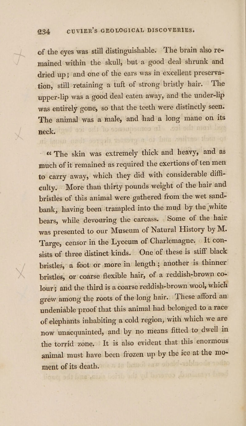 of the eyes was still distinguishable. The brain also re- mained within the skull, but a good deal shrunk and dried up; and one of the ears was in excellent preserva- tion, still retaining a tuft of strong bristly hair. The upper-lip was a good deal eaten: away, and the under-lip was entirely gone, so that the teeth were distinctly seen. The animal was a male, and had a long mane on its neck. - ¢ The skin was extremely thick and heavy, and as much of it remained as required the exertions of ten men to carry away, which they did with considerable diffi- culty. More than thirty pounds weight of the hair and bristlés of this animal were gathered from the wet sand- bank, having been ‘trampled into the mud by the ,white bears, while devouring the carcass. Some of the hair was presented to our Museum of Natural History by M. Targe, censor in the Lyceum of Charlemagne. | It con- sists of three distinct kinds. One of these is stiff black bristles, a foot or more in length ; another “is thinner bristles, or coarse flexible hair, of a reddish-brown co- lour; and the third is a coarse reddish-brown wool, which grew among the roots of the long hair. These afford an undeniable proof that this animal had belonged to a race of elephants inhabiting a cold region, with which we are now unacquainted, and by no means fitted to dwell in the torrid zone. It is also evident that this enormous animal must have been frozen up by the ice at the mo- ment of its death.