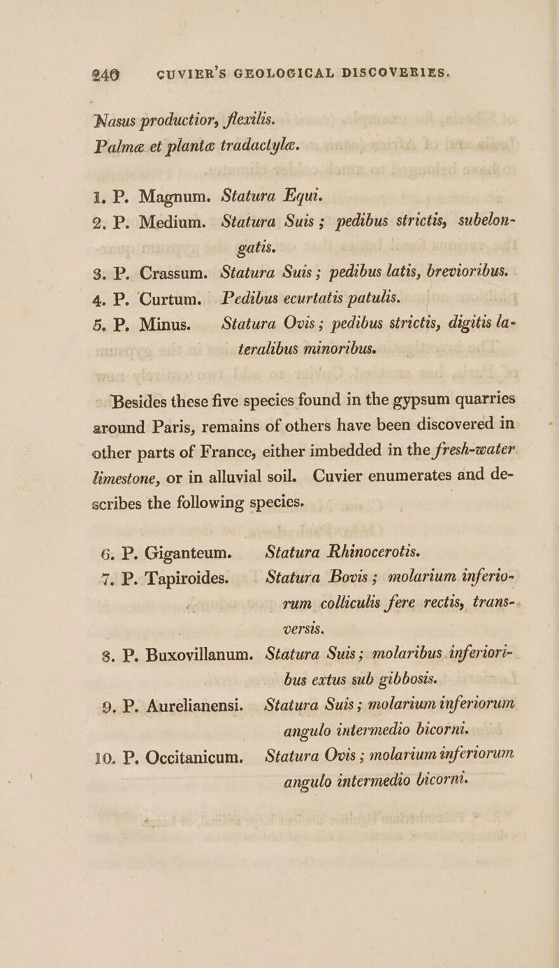 Nasus productior, flextlis. Palme et plante tradactyle. 1, P. Magnum. Statura Equa. 2, P. Medium. Statura Suis ; pedibus strictis, subelon- gatis. | 3. P. Crassum. Statura Suis ; pedibus latis, brevioribus. 4. P. Curtum. Pedibus ecurtatis patuls. 5. P. Minus. Séatura Ovis; pedibus strictis, digitis la- teralibus minoribus. Besides these five species found in the gypsum quarries around Paris, remains of others have been discovered in other parts of France, either imbedded in the fresh-water limestone, or in alluvial soil. Cuvier enumerates and de- scribes the following species. 6. P. Giganteum. Sfatura Rhinocerotis. 7. P. Tapiroides. Statura Bovis ; molarium inferio- rum colliculis fere rectis, trans-. | versis. 8. P. Buxovillanum. Statura Suis; molaribus inferiori-. bus extus sub gibbosis. 9, P. Aurelianensi. Statura Suis ; molarium inferiorum angulo intermedio bicorni. 10. P. Occitanicum. Séatura Ovis ; molarium inferiorum angulo intermedio bicorni.