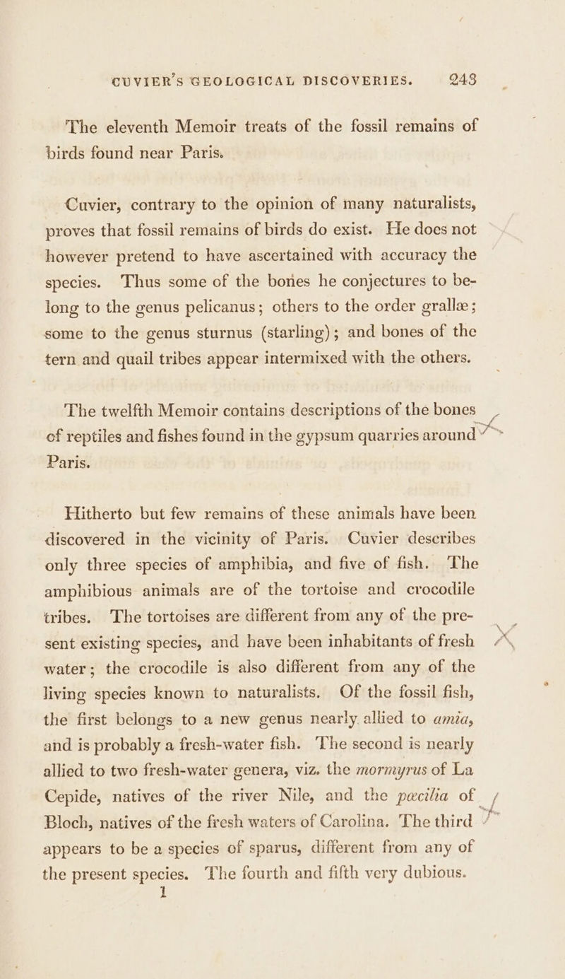 The eleventh Memoir treats of the fossil remains of birds found near Paris. Cuvier, contrary to the opinion of many naturalists, proves that fossil remains of birds do exist. He does not however pretend to have ascertained with accuracy the species. Thus some of the bones he conjectures to be- long to the genus pelicanus; others to the order grallæ ; some to the genus sturnus (starling); and bones of the tern and quail tribes appear intermixed with the others. The twelfth Memoir contains descriptions of the bones of reptiles and fishes found in the gypsum quarries around” Paris. Hitherto but few remains of these animals have been discovered in the vicinity of Paris. Cuvier describes only three species of amphibia, and five of fish. The amphibious animals are of the tortoise and crocodile tribes. The tortoises are different from any of the pre- sent existing species, and have been inhabitants of fresh water; the crocodile is also different from any of the living species known to naturalists. Of the fossil fish, the first belongs to a new genus nearly. allied to ama, and is probably a fresh-water fish. The second is nearly allied to two fresh-water genera, viz. the mormyrus of La Cepide, natives of the river Nile, and the pecilia of Bloch, natives of the fresh waters of Carolina. The third | appears to be a species of sparus, different from any of the present species. The fourth and fifth very dubious. \ 4 4 FAN f