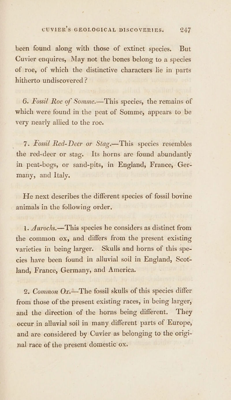 been found along with those of extinct species. But Cuvier enquires, May not the bones belong to a species of roe, of which the distinctive characters lie in parts hitherto undiscovered ? 6. Fossil Roe of Somme.—This species, the remains of which were found in the peat of Somme, appears to be very nearly allied to the roe. 7. fossil Red-Deer or Stag.—This species resembles the red-deer or stag. Its horns are found abundantly in peat-bogs, or sand-pits, in England, France, Ger- many, and Italy. He next describes the different species of fossil bovine animals in the following order. 1. Aurochs.—This species he considers as distinct from the common ox, and differs from the present existing varieties in being larger. Skulls and horns of this spe- cies have been found in alluvial soil in England, Scot- land, France, Germany, and America. 2. Common Ox.—The fossil skulls of this species differ from those of the present existing races, in being larger, and the direction of the horns being different. They occur in alluvial soil in many different parts of Europe, and are considered by Cuvier as belonging to the origi- nal race of the present domestic ox.