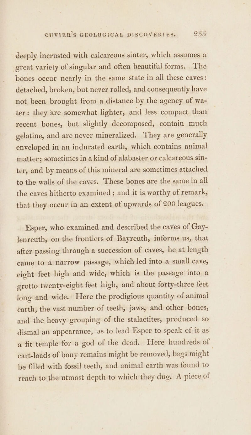 deeply incrusted with calcareous sinter, which assumes a great variety of singular and often beautiful forms. The bones occur nearly in the same state in all these caves: detached, broken, but never rolled, and consequently have not been brought from a distance by the agency of wa- ter: they are somewhat lighter, and less compact than recent bones, but slightly decomposed, contain much gelatine, and are never mineralized. They are generally enveloped in an indurated earth, which contains animal matter; sometimes in a kind of alabaster or calcareous sin- ter, and by means of this mineral are sometimes attached to the walls of the caves. These bones are the same in all the caves hitherto examined ; and it is worthy of remark, that they occur in an extent of upwards of 200 leagues. Esper, who examined and described the caves of Gay- lenreuth, on the frontiers of Bayreuth, informs us, that after passing through a succession of caves, he at length came to a narrow passage, which led into a smail cave, cight feet high and wide, which is the passage into a grotto twenty-eight feet high, and about forty-three feet long and wide. Here the prodigious quantity of animal earth, the vast number of teeth, jaws, and other bones, and the heavy grouping of the stalactites, produced so dismal an appearance, as to lead Esper to speak cf it as a fit temple for a god of the dead. Here hundreds of cart-loads of bony remains might be removed, bags might | be filled with fossil teeth, and animal earth was found to reach to the utmost depth to which they dug. A piece of