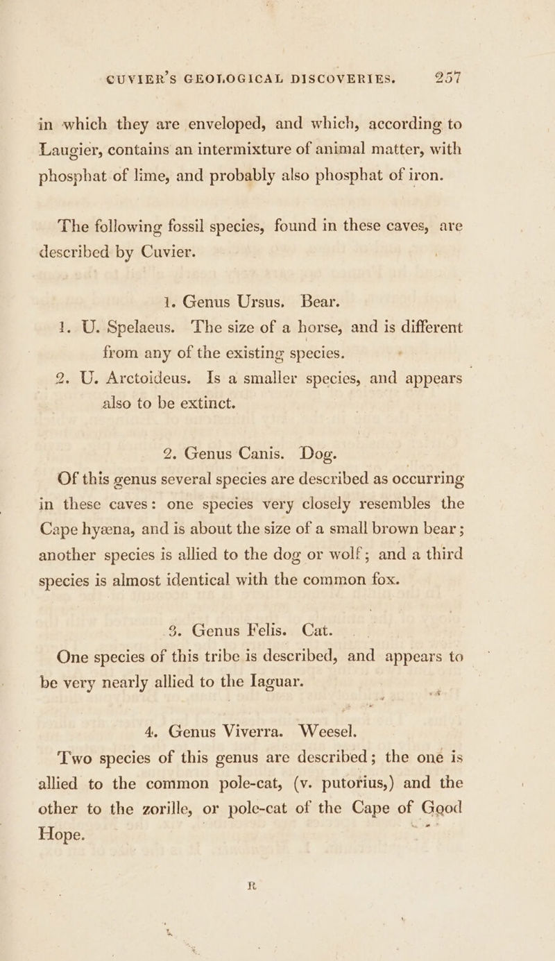 in which they are enveloped, and which, according to Laugier, contains an intermixture of animal matter, with phosphat of lime, and probably also phosphat of iron. The following fossil species, found in these caves, are described by Cuvier. 1. Genus Ursus. Bear. 1, U. Spelaeus. The size of a horse, and is different from any of the existing species. 2, U. Arctoideus. Is a smaller species, and appears — also to be extinct. 2. Genus Canis. Dog. Of this genus several species are described as occurring in these caves: one species very closely resembles the Cape hyæna, and is about the size of a small brown bear ; another species is allied to the dog or wolf; and a third species is almost identical with the common fox. 3. Genus Felis. Cat. One species of this tribe is described, and appears to be very nearly allied to the Iaguar. 4. Genus Viverra. Weesel. Two species of this genus are described; the one is allied to the common pole-cat, (v. putorius,) and the other to the zorille, or pole-cat of the Cape of Gaod Hope. | Nu R