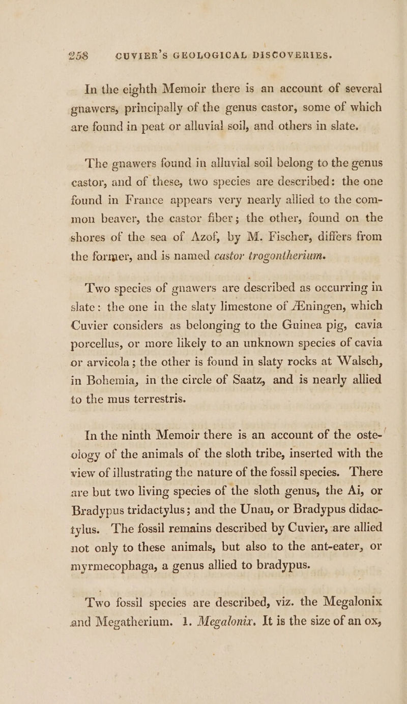 In the eighth Memoir there is an account of several gnawers, principally of the genus castor, some of which are found in peat or alluvial soil, and others in slate. The gnawers found in alluvial soil belong to the genus castor, and of these, two species are described: the one found in France appears very nearly allied to the com- mon beaver, the castor fiber; the other, found on the shores of the sea of Azof, by M. Fischer, differs from the former, and is named castor trogontherium. Two species of gnawers are described as occurring in slate: the one in the slaty limestone of Æningen, which Cuvier considers as belonging to the Guinea pig, cavia porcellus, or more likely to an unknown species of cavia or arvicola ; the other is found in slaty rocks at Walsch, in Bohemia, in the circle of Saatz, and is nearly allied to the mus terrestris. In the ninth Memoir there is an account of the oste- ology of the animals of the sloth tribe, inserted with the view of illustrating the nature of the fossil species. There are but two living species of the sloth genus, the Ai, or Bradypus tridactylus; and the Unau, or Bradypus didac- tylus. The fossil remains described by Cuvier, are allied not only to these animals, but also to the ant-eater, or myrmecophaga, a genus allied to bradypus. Two fossil species are described, viz. the Megalonix and Megatherium. 1. Megalonix. It is the size of an ox,