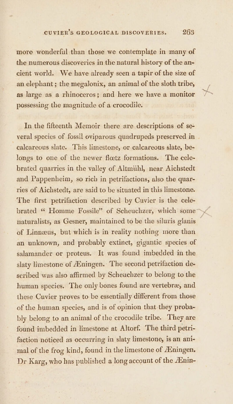 more wonderful than those we contemplate in many of the numerous discoveries in the natural history of the an- cient world. We have already seen a tapir of the size of an elephant ; the megalonix, an animal of the sloth tribe, as large as a rhinoceros; and here we have a monitor possessing the magnitude of a crocodile. In the fifteenth Memoir there are descriptions of se- veral species of fossil oviparous quadrupeds preserved in calcareous slate. This limestone, or calcareous slate, be- longs to one of the newer floetz formations. The cele- brated quarries in the valley of Altmuhl, near Aichstedt and Pappenheim, so rich in petrifactions, also the quar- ries of Aichstedt, are said to be situated in this limestone. The first petrifaction described by Cuvier is the cele- naturalists, as Gesner, maintained to be the siluris glanis ‘ of Linnæus, but which is in reality nothing more than an unknown, and probably extinct, gigantic species of salamander or proteus. It was found imbedded in the slaty limestone of Æningen. The second petrifaction de- scribed was also affirmed by Scheuchzer to belong to the human species. The only bones found are vertebrae, and these Cuvier proves to be essentially different from those of the human species, and is of opinion that they proba- bly belong to an animal of the crocodile tribe. They are found imbedded in limestone at Altorf. The third petri- faction noticed as occurring in slaty limestone, is an ani- mal of the frog kind, found in the limestone of Æningen. Dr Karg, who has published a long account of the Ænin-