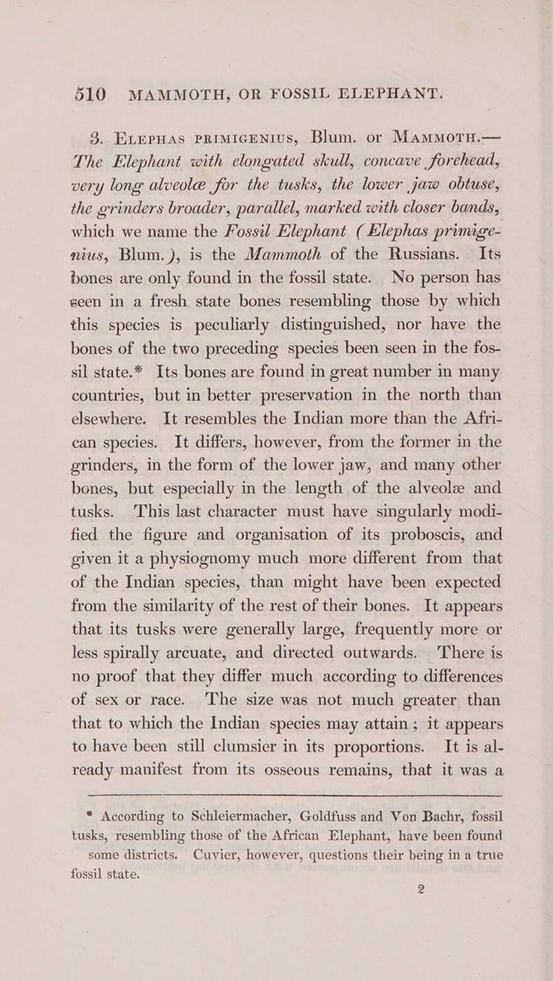 3. ELEPHAS PRIMIGENIUS, Blum. or MammotrH.— The Elephant with elongated skull, concave forehead, very long alveolæ for the tusks, the lower jaw obtuse, the grinders broader, parallel, marked with closer bands, which we name the Fossil Elephant ( klephas primige- nius, Blum. ), is the Mammoth of the Russians. Its bones are only found in the fossil state. No person has seen in a fresh state bones resembling those by which this species is peculiarly distinguished, nor have the bones of the two preceding species been seen in the fos- sil state.* Its bones are found in great number in many countries, but in better preservation in the north than elsewhere. It resembles the Indian more than the Afri- can species. It differs, however, from the former in the grinders, in the form of the lower jaw, and many other bones, but especially in the length of the alveolæ and tusks. This last character must have singularly modi- fied the figure and organisation of its proboscis, and given it a physiognomy much more different from that of the Indian species, than might have been expected from the similarity of the rest of their bones. It appears that its tusks were generally large, frequently more or less spirally arcuate, and directed outwards. There is no proof that they differ much according to differences of sex or race. The size was not much greater than that to which the Indian species may attain ; it appears to have been still clumsier in its proportions. It is al- ready manifest from its osseous remains, that it was a * According to Schleiermacher, Goldfuss and Von Bachr, fossil tusks, resembling those of the African Elephant, have been found some districts. Cuvier, however, questions their being in a true fossil state. 2