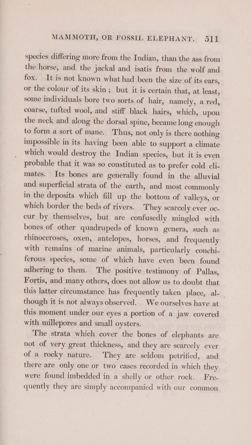 species differing more from the Indian, than the ass from the horse, and the jackal and isatis from the wolf and fox. It is not known what had been the size of its ears, or the colour of its skin; but it is certain that, at least, some individuals bore two sorts of hair, namely, a red, coarse, tufted wool, and stiff black hairs, which, upon the neck and along the dorsal spine, became long enough to form a sort of mane. Thus, not only is there nothing impossible in its having been able to support a climate which would destroy the Indian species, but it is even probable that it was so constituted as to prefer cold cli- mates. Its bones are generally found in the alluvial and superficial strata of. the earth, and most commonly in the deposits which fill up the bottom of valleys, or which border the beds of rivers. They scarcely ever oc- cur by themselves, but are confusedly mingled with bones of other quadrupeds of known genera, such as rhinoceroses, oxen, antelopes, horses, and frequently with remains of marine animals, particularly conchi- ferous species, some of which have even been found adhering to them. The positive testimony of Pallas, Fortis, and many others, does not allow us to doubt that this latter circumstance has frequently taken place, al- though it is not always observed. We ourselves have at this moment under our eyes a portion of a jaw covered with millepores and small oysters. The strata which cover the bones of elephants: are not of very great thickness, and they are scarcely ever of a rocky nature. They are seldom petrified, and there are only one or two cases recorded in which they were found imbedded in a shelly or other rock. Fre. quently they are simply accompanied with our common