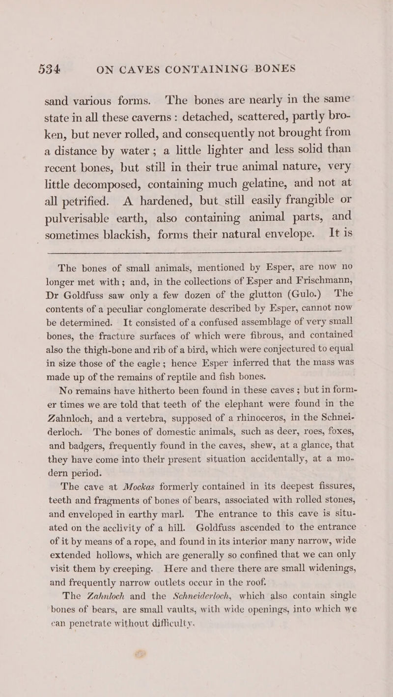 sand various forms. ‘The bones are nearly in the same state in all these caverns : detached, scattered, partly bro- ken, but never rolled, and consequently not brought from a distance by water ; a little lighter and less solid than recent bones, but still in their true animal nature, very little decomposed, containing much gelatine, and not at all petrified. A hardened, but still easily frangible or pulverisable earth, also containing animal parts, and sometimes blackish, forms their natural envelope. It is The bones of small animals, mentioned by Esper, are now no longer met with; and, in the collections of Esper and Frischmann, Dr Goldfuss saw only a few dozen of the glutton (Gulo.) The contents of a peculiar conglomerate described by Esper, cannot now be determined. It consisted of a confused assemblage of very small bones, the fracture surfaces of which were fibrous, and contained also the thigh-bone and rib of a bird, which were conjectured to equal in size those of the eagle ; hence Esper inferred that the mass was made up of the remains of reptile and fish bones. No remains have hitherto been found in these caves ; but in form- er times we are told that teeth of the elephant were found in the Zahnloch, and a vertebra, supposed of a rhinoceros, in the Schnei- derloch. The bones of domestic animals, such as deer, roes, foxes, and badgers, frequently found in the caves, shew, at a glance, that they have come into their present situation accidentally, at a mo- dern period. The cave at Mockas formerly contained in its deepest fissures, teeth and fragments of bones of bears, associated with rolled stones, and enveloped in earthy marl. The entrance to this cave is situ- ated on the acclivity of a hill. Goldfuss ascended to the entrance of it by means of a rope, and found in its interior many narrow, wide extended hollows, which are generally so confined that we can only visit them by creeping. Here and there there are small widenings, and frequently narrow outlets occur in the roof. The Zahnloch and the Schneiderloch, which also contain single bones of bears, are small vaults, with wide openings, into which we can penetrate without difficulty.