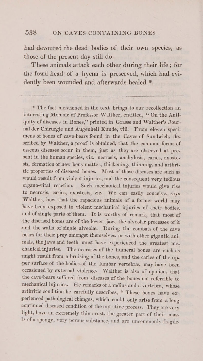 had devoured the dead bodies of their own species, as those of the present day still do. These animals attack each other during their life ; for the fossil head of a hyena is preserved, which had evi- dently been wounded and afterwards healed *. * The fact mentioned in the text brings to our recollection an interesting Memoir of Professor Walther, entitled, “ On the Anti- quity of diseases in Bones,” printed in Grasse and Walther’s Jour- nal der Chirurgie und Augenheil Kunde, viii. From eleven speci- mens of bones of cave-bears found in the Caves of Sundwich, de- scribed by Walther, a proof is obtained, that the common forms of osseous diseases occur in them, just as they are observed at pre- sent in the human species, viz. necrosis, anchylosis, caries, exosto- sis, formation of new bony matter, thickening, thinning, and arthri- tic properties of diseased bones. Most of those diseases are such as would result from violent injuries, and the consequent very tedious organo-vital reaction. Such mechanical injuries would give rise to necrosis, caries, exostosis, &amp;c. We can easily conceive, says Walther, how that the rapacious animals of a former world may have been exposed to violent mechanical injuries of their bodies. and of single parts of them. It is worthy of remark, that most of ‘the diseased bones are of the lower jaw, the alveolar processes of it and the walls of single alveolæ. During the combats of the cave bears for their prey amongst themselves, or with other gigantic ani- mals, the jaws and teeth must have experienced the greatest me- chanical injuries. The necroses of the humeral bones are such as might result from a bruising of the bones, and the caries of the up- per surface of the bodies of the lumbar vertebrae, may have been occasioned by external violence. Walther is also of opinion, that the cave-bears suffered from diseases of the bones not referrible to mechanical injuries. He remarks of a radius and a vertebra, whose arthritic condition he carefully describes, “ These bones have ex- perienced pathological changes, which could only arise from a long continued diseased condition of the nutritive process. They are very light, have an extremely thin crust, the greater part of their mass is of a spongy, very porous substance, and are uncommonly fragile.