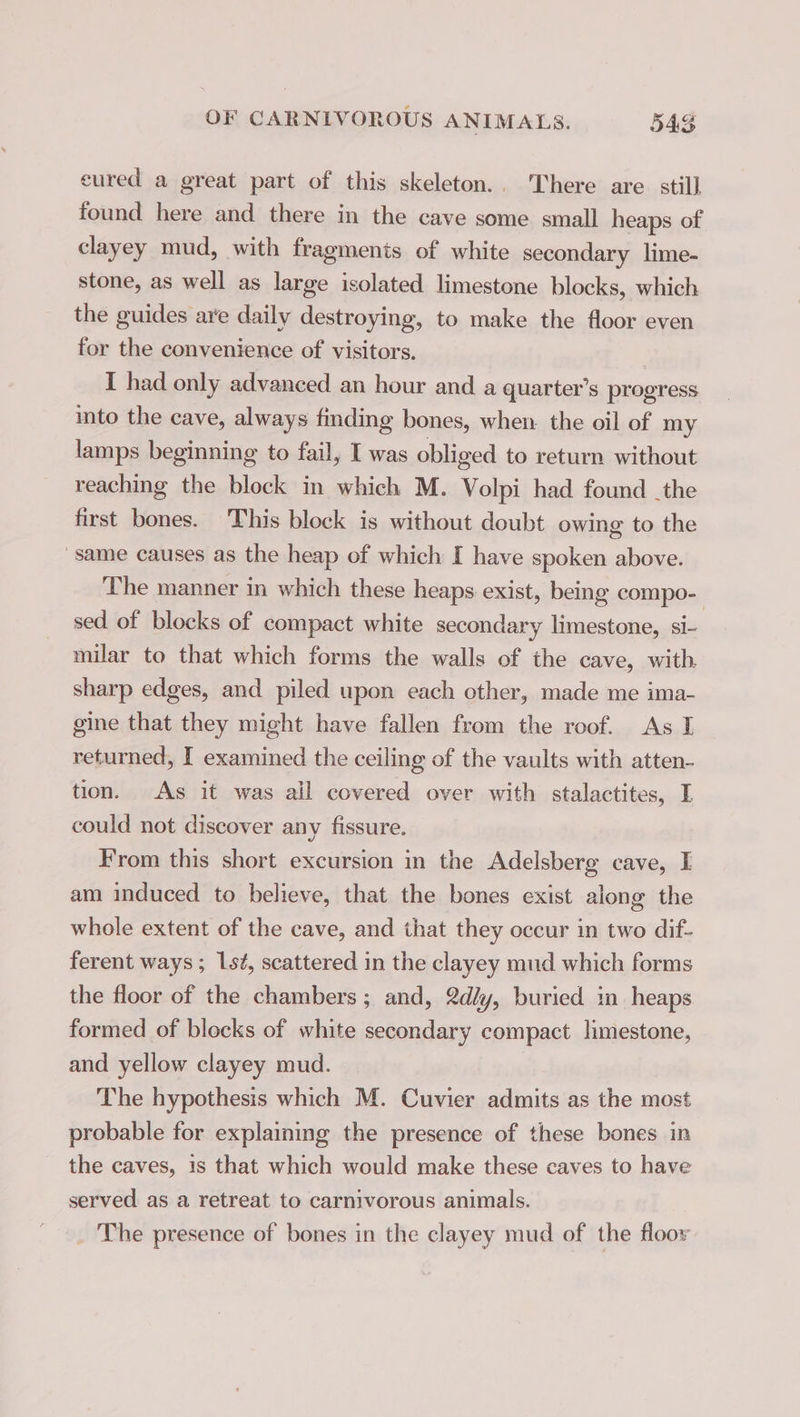 eured a great part of this skeleton.. There are still found here and there in the cave some small heaps of clayey mud, with fragments of white secondary lime- stone, as well as large isolated limestone blocks, which the guides are daily destroying, to make the floor even for the convenience of visitors. I had only advanced an hour and a quarter’s progress into the cave, always finding bones, when the oil of my lamps beginning to fail, I was obliged to return without reaching the block in which M. Volpi had found the first bones. This block is without doubt owing to the same causes as the heap of which I have spoken above. The manner in which these heaps exist, being compo- sed of blocks of compact white secondary limestone, si- milar to that which forms the walls of the cave, with. sharp edges, and piled upon each other, made me ima- gine that they might have fallen from the roof. As I returned, I examined the ceiling of the vaults with atten- tion. As it was ail covered over with stalactites, I could not discover any fissure. From this short excursion in the Adelsberg cave, I am induced to believe, that the bones exist along the whole extent of the cave, and that they occur in two dif- ferent ways ; 1st, scattered in the clayey mud which forms the floor of the chambers; and, 2d/y, buried in heaps formed of blocks of white secondary compact limestone, and yellow clayey mud. The hypothesis which M. Cuvier admits as the most probable for explaining the presence of these bones in the caves, is that which would make these caves to have served as a retreat to carnivorous animals. The presence of bones in the clayey mud of the floor