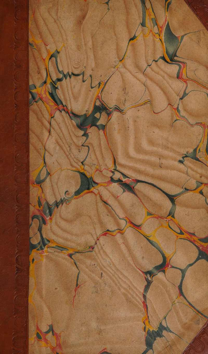 No text description is available for this image