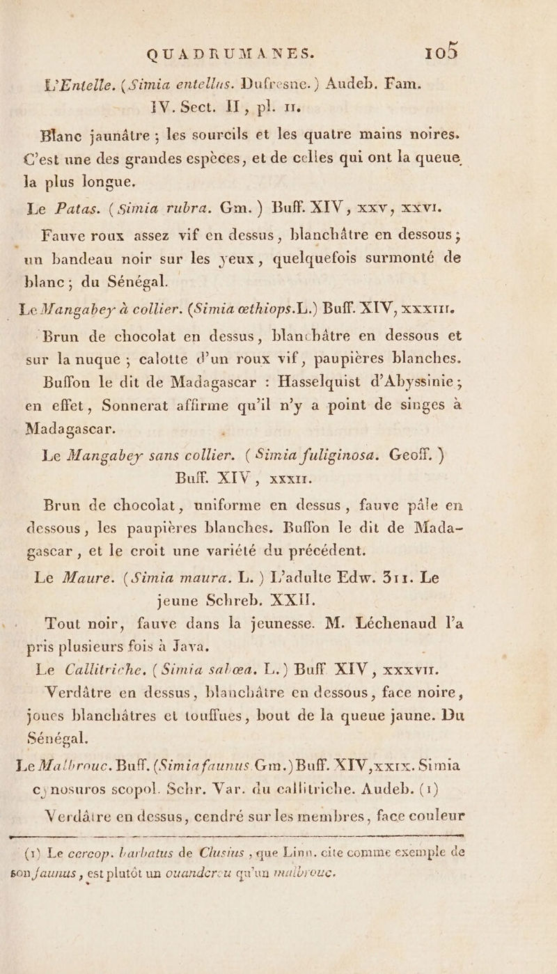 £'Entelle. (Simia entellus. Dufresne.) Audeb. Fam. IV. Sect. IT, pl. 17. Blanc jaunâtre ; les sourcils et les quatre mains noires. C’est une des grandes espèces, et de celles qui ont la queue la plus longue. Le Patas. (Simia rubra. Gm.) BufF. XIV, xxv, xxvi. Fauve roux assez vif en dessus, blanchâtre en dessous ; un bandeau noir sur les yeux, quelquefois surmonté de blanc; du Sénégal. _ Le Wangabey à collier. (Simia æthiops.L.) Buff. XIV, xxxtur. ‘Brun de chocolat en dessus, blanchâtre en dessous et sur la nuque ; calotie d’un roux vif, paupières blanches. Buffon le dit de Madagascar : Hasselquist d’Abyssinie ; en effet, Sonnerat affirme do: n’y à point de singes à Man Le Mangabey sans collier. (Simia fuliginosa. Geoï. ) Buff. XIV, xxxir. Brun de chocolat, uniforme en dessus, fauve pâle en dessous, les paupières blanches. Buffon le dit de Mada- gascar , et le croit une variété du précédent. Le Maure. (Simia maura. L. ) L’adulte Edw. 311. Le jeune Schreb. XXIT. Tout noir, fauve dans la jeunesse. M. Léchenaud la pris plusieurs fois à Java, Le Callitriche. (Simia sabæa. L.) Buff XIV , xxxvir. Verdâtre en dessus, blanchâtre en dessous, face noire, joues blanchâtres et touffues, bout de la queue jaune. Du Sénégal. Le Malbrouc. Buff. (Simia faunus.Gm.)Bufr. XIV ,xxrx. Simia cynosuros scopol. Schr. Var. du callitriche. Audeb. (1) Verdâire en dessus, cendré sur les membres, face couleur ot th pre dm (1) Le cercop. barbatus de Clusius ; que Linn. cite comme exemple de son faunus , est plutôt un ouandcreu qu'un imulbrouc.