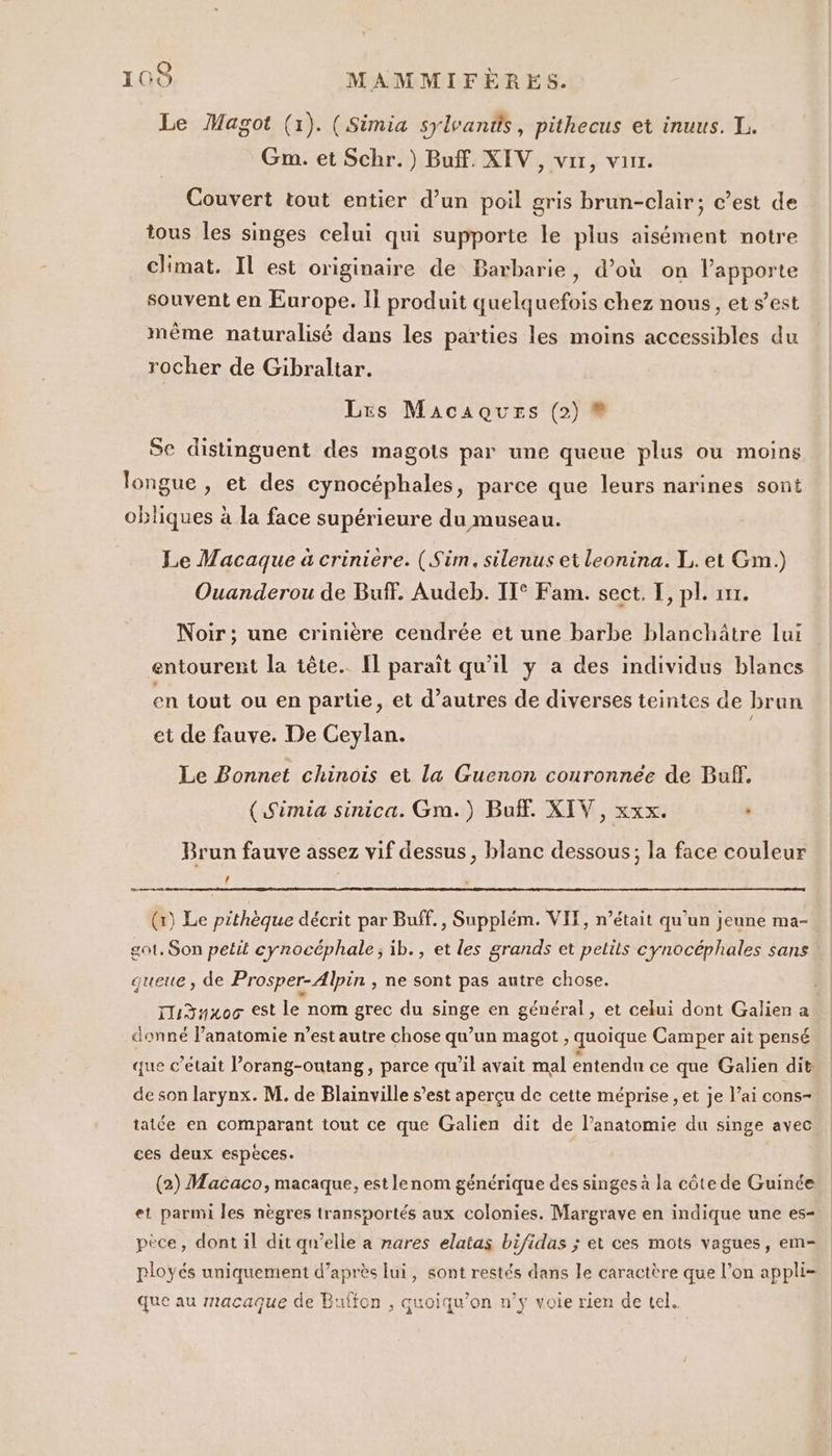 Le Magot (1). (Simia sylvands, pithecus et inuus. L. Gm. et Schr.) Buff. XIV , vrr, vaux. Couvert tout entier d’un poil gris brun-clair; c’est de tous les singes celui qui supporte le plus aisément notre climat. Il est originaire de Barbarie, d’où on l’apporte souvent en Europe. Il produit quelquefois chez nous, et s’est même naturalisé dans les parties les moins accessibles du rocher de Gibraltar. Lrs Macaques (2) ® Se distinguent des magots par une queue plus ou moins longue , et des cynocéphales, parce que leurs narines sont obliques à la face supérieure du museau. Le Macaque à criniere. (Sim. silenus et leonina. 1, et Gm.) Ouanderou de Buff. Audeb. IT° Fam. sect. I, pl. 111. Noir; une crinière cendrée et une barbe blanchätre lui entourent la tête. Il paraît qu'il y a des individus blancs en tout ou en partie, et d’autres de diverses teintes de brun et de fauve. De Ceylan. Le Bonnet chinois et La Guenon couronnée de Buff. (Simia sinica. Gm.) But. XIV, xxx. : Brun fauve assez vif dessus, blanc dessous; la face couleur ! CES (1) Le pithèque décrit par Buff., Supplém. VIT, n’était qu’un jeune ma- got, Son petit cynocéphale,; ib., et les grands et petits cynocéphales sans queue, de Prosper-Alpin , ne sont pas autre chose. Iidnx00 est le nom grec du singe en général, et celui dont Galien a donné l’anatomie n’est autre chose qu’un magot , quoique Camper ait pensé que c'etait l’orang-outang, parce qu'il avait mal entendn ce que Galien dit: de son larynx. M. de Blainville s’est aperçu de cette méprise , et je l’ai cons- tatée en comparant tout ce que Galien dit de l’anatomie du singe avec ces deux espèces. (2) Macaco, macaque, est lenom générique des singes à la côte de Guince et parmi les nègres transportés aux colonies. Margrave en indique une es- pèce, dont il dit qu’elle a nares elatas bifidas ; et ces mots vagues, em- ployés uniquement d’après lui, sont restés dans le caractère que l’on appli- que au macaque de Buffon , quoiqu’on n’y voie rien de tel.