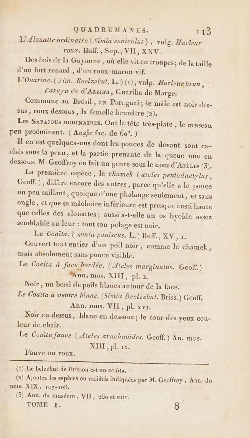 1’ Alouaite ordinaire ( Simia seniculus) , vulg. Hurleur roux. Buif. , Sup., VIT, XXV. Des bois de la Guyanne, où elle viten troupes; de la taille d’un fort renard , d’un roux-maron vif. L'Ouarine.( Sim. Beelzebut. L.) (x), vulg. Aurleur brun 7 Caraya de d’Azzara, Guariba de Marer. Commune au Brésil, au Paraguai ; le mâle est noir des- sus , roux dessous , la femelle brunâtre Eh Les Sapasous orniNAIRES. Ont la tête tr peu proéminent. ( Angle fac. de 6o°. ) | 11 en est quelques-uns dont les pouces de devant sont ca- chés sous la peau, et la partie prenante de la queue nue en dessous. M. Geoffroy en fait un genre sous le nom d’Arëzrs (3). La première espèce, le chamek (ateles pentadactylus, Geof. ) , diffère encore des autres » parce qu’elle a le pouce un peu saillant, quoique d’une phalange seulement , et sans ongle , et que sa mâchoire inférieure est presque aussi haute que celles des alouattes ; aussi a-t-elle un os hyoide assez : semblable au leur : tout son pelage est noir. Le Coaïta.( Simia paniscus. L.) Buff., XV ,r. Couvert tout entier d’un poil noir, comme le Chamek, mais absolument sans pouce visible, Le Coaita à face bordée, (Aieles marginatus. Geof. ) “Ann. mus. XIIT, pl. x. Noir , un bord de poils blancs autour de la face. Le Coaïta à ventre blanc. (Simia Beelzebut. Briss.) Geoff. Ann. mus. VII, pl. xvr. Noir en dessus, blanc en dessous ; Je tour des yeux cou- leur de chair. Le Coaïta fauve ( Ateles arachnoïdes. Geoff.) An. mus. XII , pl. 1x. es-plate , le museau Fauve ou roux. (1) Le belzébut de Brisson est un coaïta. (2) Ajoutez les espèces ou variétés indiquées par M. Geoffroy , Ann. du mus. XIX, 107-108. | | (3) Ann. du muséum, VIH, 260 et suiv. TOME I. 3
