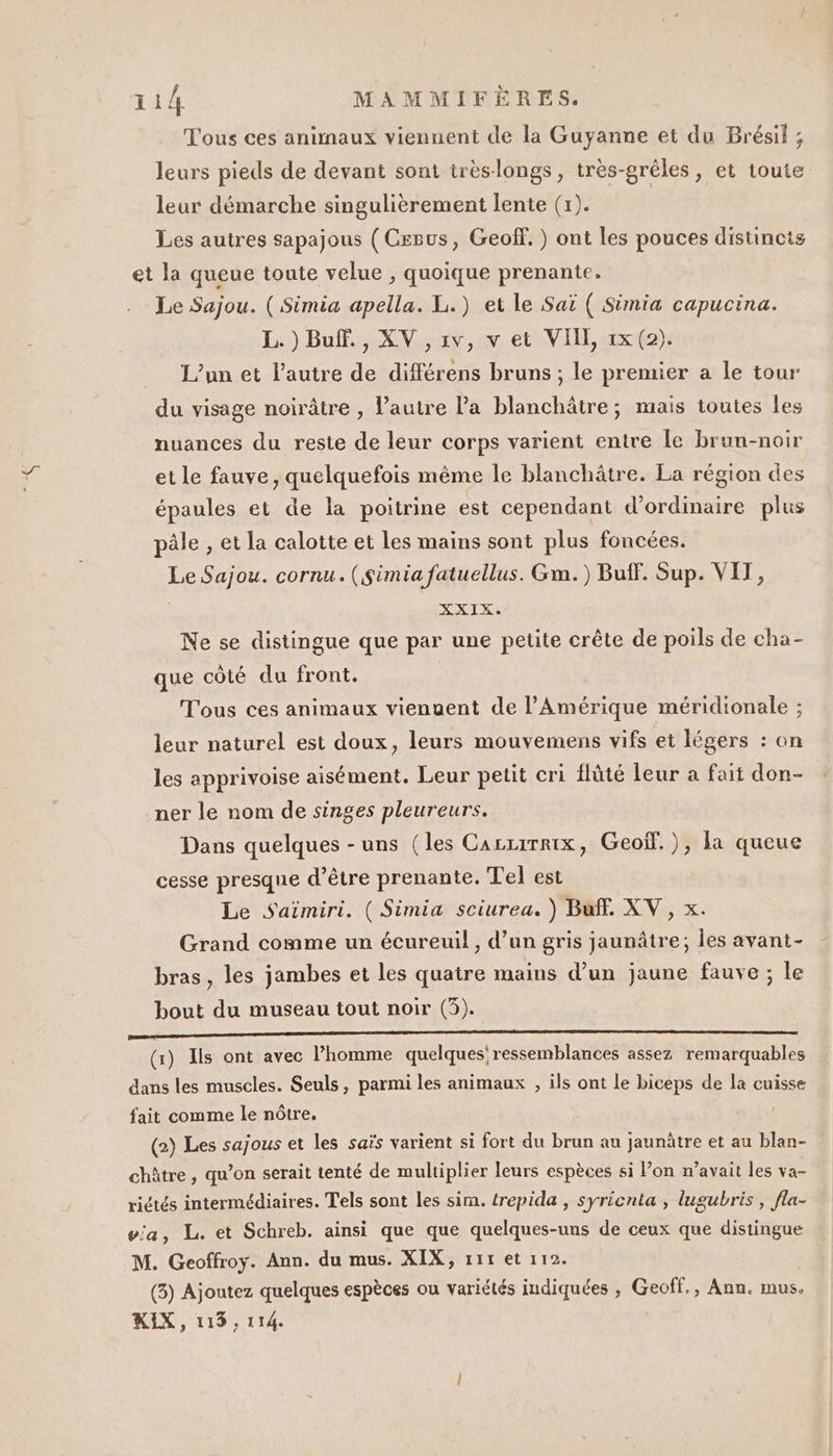 Tous ces animaux viennent de la Guyanne et du Brésil ; leurs pieds de devant sont trèslongs, très-gréles, et toute leur démarche singulièrement lente (x). | Les autres sapajous ( Cspus, Geoff. ) ont les pouces distincts et la queue toute velue , quoique prenante. Le Sajou. ( Simia apella. L.) et le Saï ( Simia capucina. L. )Buff., XV ,1v, vet VII, 1x (2). L'un et l’autre de différens bruns ; le premier a le tour du visage noirâtre , l’autre l’a blanchâtre; mais toutes les nuances du reste de leur corps varient entre le brun-noir et le fauve, quelquefois même le blanchâtre. La région des épaules et de la poitrine est cependant d'ordinaire plus pâle , et la calotte et les mains sont plus foncées. Le Sajou. cornu. (Sinia fatuellus. Gm.) Buff. Sup. VIT, XXIX. Ne se distingue que par une petite crête de poils de cha- que côté du front. Tous ces animaux vienuent de l'Amérique méridionale ; leur naturel est doux, leurs mouvemens vifs et légers : on les apprivoise aisément. Leur petit cri flûté leur a fait don- ner le nom de singes pleureurs. Dans quelques - uns (les Carrirrix, Geoïf.), la queue cesse presque d’être prenante. Tel est Le Saïmiri. ( Simia sciurea. ) Buff. XV, x. Grand comme un écureuil, d’un gris jaunâtre; les avant- bras, les jambes et les quatre mains d’un jaune fauve ; le bout du museau tout noir (3). En ane Te ENCRES PTE RT TE EN ET RTE PTE AT T. réa (1) Ils ont avec l’homme quelques’ ressemblances assez remarquables dans les muscles. Seuls, parmi les animaux , ils ont le biceps de la cuisse fait comme le nôtre, | (2) Les sajous et les saïs varient si fort du brun au jaunâtre et au blan- châtre , qu’on serait tenté de multiplier leurs espèces si l’on n’avait les va- riétés intermédiaires. Tels sont les sim. trepida , syricnta , lugubris , fla- via, L. et Schreb. ainsi que que quelques-uns de ceux que distingue M. Geoffroy. Ann. du mus. XIX, 111 et 112. (3) Ajoutez quelques espèces ou variétés indiquées , Geoff., Ann. mus. KIX , 118, 114.