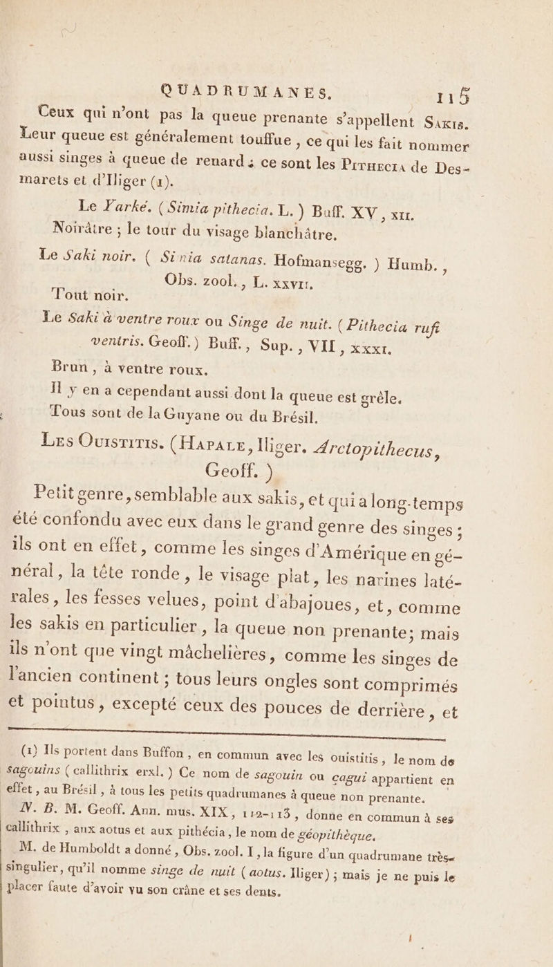 Ceux qui n’ont pas la queue prenante s'appellent Sirrs. Leur queue est généralement touffue ) Ce qui les fait nommer aussi singes à queue de renard ; ce sont les Prraectra de Des- marets et d'Iliger (x). Le Farké, (Simia pithecia. 1. ) Bu. XV , sr. Noirâtre ; le tour du visage blanchätre, Le Saki noir. ( Sinia satanas. Hofmansege. ) Humb. ; Obs. zool., L. xxvrr. Tout noir. Le Saki à ventre roux ou Singe de nuit. ( Pithecia ruf veniris. Geoff.) Buf., Sup. , VIL, xxxr. Brun , à ventre roux. Ï y en a cependant aussi dont la queue est grêle, Tous sont de la Guyane ou du Brésil. Les Ouisriris. (Harare, liger, Arctopithecus, Geoff, ) | Petit genre, semblable aux sakis, et qui a long-temps été confondu avec eux dans le grand genre des singes ; ils ont en effet, comme les singes d'Amérique en gé- néral, la tête ronde, le visage plat, les narines Jaté- rales , les fesses velues, point d'abajoues, et, comme les sakis en particulier , la queue non prenante; mais ils n’ont que vingt mâchelières, comme les singes de l'ancien continent ; tous leurs ongles sont comprimés et pointus, excepté ceux des pouces de derrière , et (x) Is portent dans Buffon , en commun avec les Ouistitis, le nom de Sagouins ( callithrix erxl. ) Ce nom de Sagouin où cagui appartient en effet , au Brésil , à tous les petits quadrumanes à queue non prenante. N. B. M. Geoff. Ann. mus. XIX &gt;» 112-115 , donne én commun à ses callithrix , anx aotus et aux pithécia , le nom de géopithèque, M. de Humboldt a donné , Obs. zool. I : la figure d’un quadrumane très singulier, qu’il nomme singe de nuit (aotus. Iliger) ; mais je ne puis le placer faute d’avoir vu son crâne et ses dents.