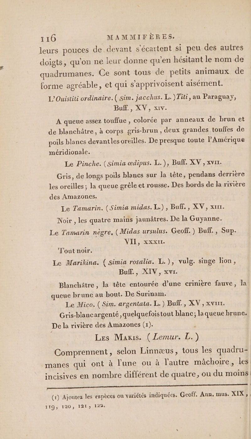 leurs pouces de devant s'écartent si peu des autres doigts, qu’on ne leur donne qu'en hésitant le nom de quadrumanes. Ce sont tous de petits animaux de forme agréable, et qui s’apprivoisent aisément. L’Ouistiti ordinaire. ( Sim. jacchus. L.)Titi, au Paraguay, Buf., XV, x1v. A queue assez touffue , colorée par anneaux de brun et de blanchâtre, à corps gris-brun , deux grandes touffes de poils blancs devantles oreilles. De presque toute PAmérique méridionale. | Le Pinche. (Simia œdipus. L.), Buff, XV , xvir. Gris, de longs poils blancs sur la tête, pendans derriere les oreilles ; la queue grêle et rousse. Des bords de la rivière des Amazones. Le Tamarin. (Simia midas. L.), Buff., XV, xiu. Noir , les quatre mains jaunâtres. De la Guyanne. Le Tamarin nègre, (Midas ursulus. Geof. ) Buff., Sup. VII, xxx. Tout noir. Le Marikina. { Simia rosalia. L.), vulg. singe lion, Buff., XIV, xvr. Blanchâtre, la tête entourée d’une crinière fauve, la queue brune au bout. De Surinam. Le Mico. ( Sim. argentata. L.) Buf., XV, xvuir. Gris-blancargenté ,quelquefoistout blanc; laqueue brune. De la rivière des Amazones (1). Les Mans. ( Lemur. L.) Comprennent, selon Linnæus, tous les quadru- manes qui ont à l’une ou à l'autre mâchoire, les! incisives en nombre différent de quatre, ou du moins; Gta rt nid : (1) Ajoutez les espèces ou variétés indiquées. Geoff. Ann, mus. XIX,,