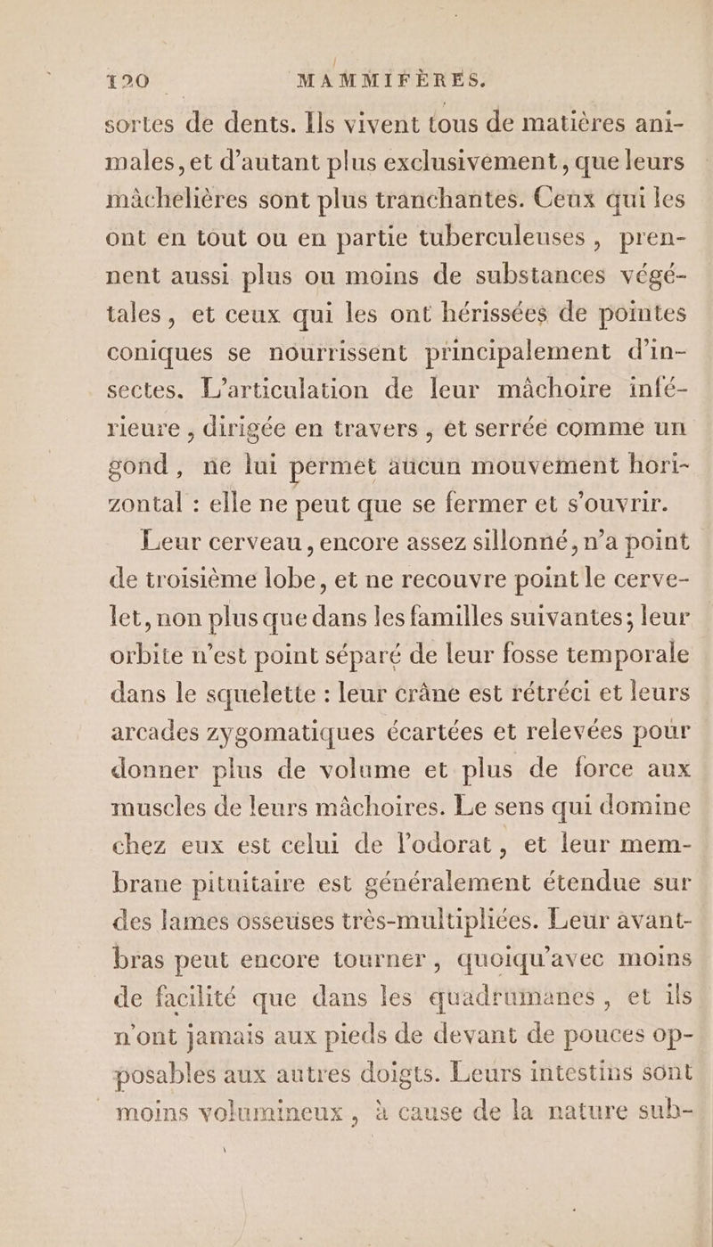 sortes de dents. Ils vivent tous de matières ani- males, et d'autant plus exclusivement, que leurs mèchelières sont plus tranchantes. Ceux qui les ont en tout ou en partie tuberculeuses, pren- nent aussi plus ou moins de substances végé- tales, et ceux qui les ont hérissées de pointes coniques se nourrissent principalement d’in- sectes. L’articulation de leur mâchoire infé- rieure , dirigée en travers , ét serréé comme un gond, ne lui permet äücun mouvement hori- zontal : elle ne peut que se fermer et s'ouvrir. Leur cerveau, encore assez sillonné, n’a point de troisième lobe, et ne recouvre point le cerve- let, non plus que dans les familles suivantes; leur orbite n’est point séparé de leur fosse temporale dans le squelette : leur crâne est rétréci et leurs arcades zygomatiques écartées et relevées pour donner plus de volume et plus de force aux muscles de leurs mâchoires. Le sens qui domine chez eux est celui de l’odorat, et leur mem- brane pituitaire est généralement étendue sur des lames osseuses très-multipliées. Leur avant- bras peut encore Tourner, quoiqu'avec moins de facilité que dans les quadrumanes, et ils n'ont jamais aux pieds de devant de pouces op- posables aux autres doigts. Leurs intestins sont _ moins volumineux, à cause de la nature sub- \