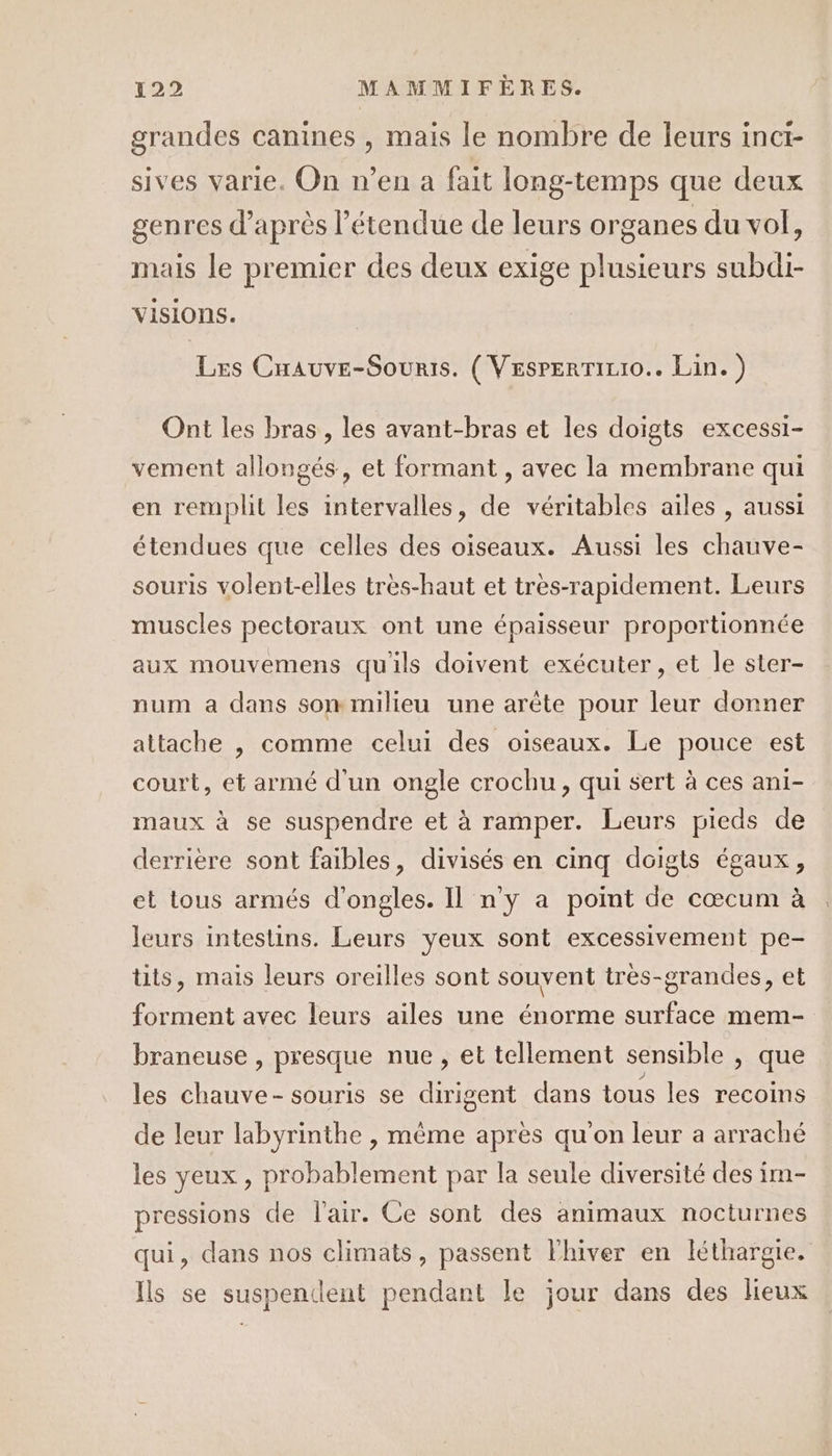 grandes canines , mais le nombre de leurs inci- sives varie. On n’en a fait long-temps que deux genres d’après l'étendue de leurs organes du vol, mais le premier des deux exige plusieurs subdi- visions. Les Cnrauve-Souris. ( VesperrTirio.. Lin.) Ont les bras, les avant-bras et les doigts excessi- vement allongés, et formant , avec la membrane qui en remplit les intervalles, de véritables ailes , aussi étendues que celles des oiseaux. Aussi les chauve- souris volent-elles très-haut et très-rapidement. Leurs muscles pectoraux ont une épaisseur proportionnée aux mouvemens quils doivent exécuter, et le ster- num a dans son milieu une arète pour leur donner attache , comme celui des oiseaux. Le pouce est court, et armé d'un ongle crochu, qui sert à ces ani- maux à se suspendre et à ramper. Leurs pieds de derriere sont faibles, divisés en cinq doigts égaux, et tous armés d'ongles. Il n’y a point de cœcum à leurs intestins. Leurs yeux sont excessivement pe- tits, mais leurs oreilles sont souvent très-grandes, et forment avec leurs ailes une énorme surface mem- braneuse , presque nue, et tellement sensible , que les chauve-souris se dirigent dans tous les recoins de leur labyrinthe , même après qu'on leur a arraché les yeux , probablement par la seule diversité des im- pressions de l'air. Ce sont des animaux nocturnes qui, dans nos climats, passent l'hiver en léthargie. Ils se suspendent pendant le jour dans des lieux
