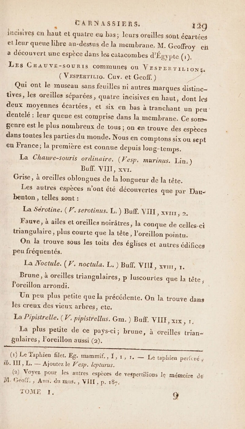 ; CARNASSIERS,. 130 incisives en haut et quatre en bas; leurs oreilles sont écartéeg et leur queue libre au-dessus de la membrane. M. Geoffroy en a découvert une espèce dans les catacombes d'Égypte (1). LEs Cnauve-souris communes ou Vrsren TILIONS: ( Vsspgsritio. Cuv. et Geoff.) Ed Qui ont le museau sans feuilles ni autres marques distinc— üves, les oreilles séparées ; quatre incisives en haut, dont les deux moyennes écartées, et six en bas à tranchant un peu: dentelé : leur queue est comprise dans la membrane. Ce sous genre est le plus nombreux de tous &gt; On en trouve des espèces dans toutes les parties du monde. Nous en comptons six ou sept en France; la première est connue depuis long-temps. La Chauve-souris ordinaire. (F esp: murinus. Lin.) Buff, VITE, xvr. Grise, à oreilles oblongues de la longueur de la tête. Les autres espèces n’ont été découvertes que par Dau- benton , telles sont : La Sérotine. ( V. serotinus. L.) Buff, VIII &gt; XVIII; 2. Fauve, à ailes et oreilles noirâtres &gt; la conque de celles-ci triangulaire, plus courte que la tête &gt; l’oreillon pointu. On la trouve sous les toits des églises et autres édifices peu fréquentés. La Moctule. ( V. noctula. L, ) Buf. VIE, xvn, 1. Brune, à oreilles triangulaires, p luscourtes que la tête, Poreillon arrondi. Un peu plus petite que la précédente, On la trouve dans les creux des vieux arbres, etc. La Pipistrelle. (V. pipistrellus. Gm. ) Buff. VIIF, xrx 1: La plus petite de ce pays-ci; brune, à oreilles trian= gulaires, l’oreillon aussi (2). 2 E . ‘ (1) Le Taphien filet. Ronan, JT re LA taphien perforé ib. VIT, L. — Ajoutez le Vesp. lepturus. (2) Voyez pour les autres espèces de vespertilions le mémoire ds M. Geoff. , Ann. du mus., VIII ; P. 187. TOME 1. Q