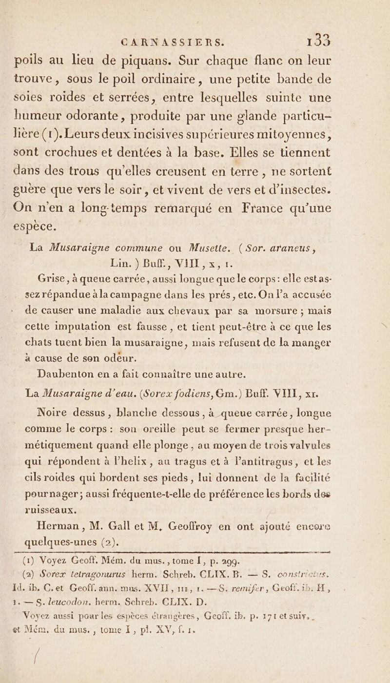 poils au lieu de piquans. Sur chaque flanc on leur trouve, sous le poil ordinaire, une petite bande de soies roïdes et serrées, entre lesquelles suinte une humeur odorante, produite par une glande particu- lière (1). Leurs deux incisives supérieures mitoyennes, sont crochues et dentées à la base. Elles se tiennent dans des trous qu'elles creusent en terre , ne sortent guère que vers le soir , et vivent de vers et d'insectes. On n'en a long-temps remarqué en France qu’une Lopéce er La Musaraigne commune ou Musette. (Sor. araneus, Lin.) Buff., VITE, x, 1. Grise, à queue carrée, aussi longue que le corps: elle estas- sez répandue à la campagne dans les prés, ete. On l’a accusée de causer une maladie aux chevaux par sa morsure ; mais cette imputation est fausse , et tient peut-être à ce que les chats tuent bien la musaraigne, mais refusent de la manger 0] Li à cause de sen odeur. Daubenton en a fait connaître une autre. La Musaraigne d’eau. (Sorex fodiens, Gm.) Buff. VIE, xr. Noire dessus, blanche dessous , à queue carrée, longue comme le corps : son oreille peut se fermer presque her- métiquement quand elle plonge , au moyen de trois valvules qui répondent à l’helix, au tragus et à lantitragus, et les cils roides qui bordent ses pieds , lui donnent de la facilité pournager ; aussi fréquente-t-elle de préférence les bords des ruisseaux. Herman , M. Gall et M, Geoffroy en ont ajouté encore quelques-unes (2). ET &lt;2s © ramené, (1) Voyez Geoff. Mém, du mus. , tome [, p. 299. (2) Sorex tetragonurus herm. Schreb. CLIX. B. — $S. constr'etrs. Id. ib. C.et Geoff. ann. mus. XVII, 116, 1. —8. remifer, Geoff.1b. FH, 1. — S. leucodon., herm. Schreb. CLIX. D. Voyez aussi pour les espèces étrangères, Geoff. ib. p. 171 et suiv._ et Mém, du mus. , tome I, pi. XV, f. 1. /