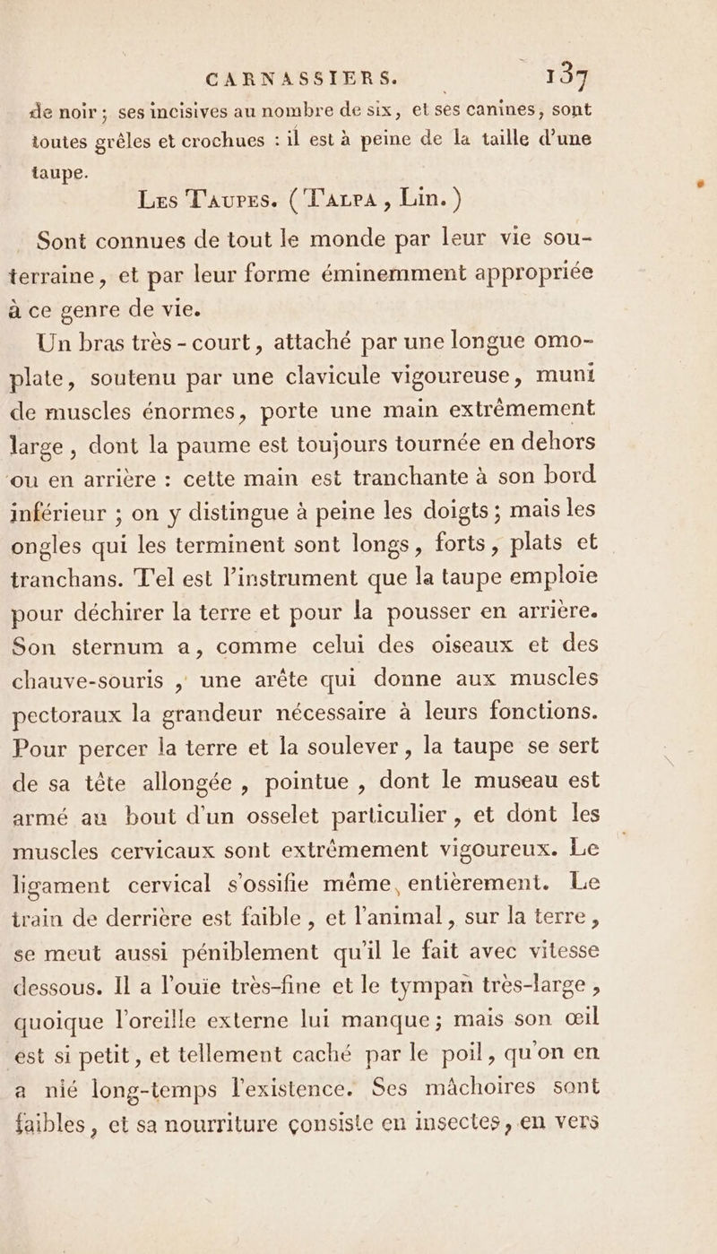 de noir; ses incisives au nombre de six, etses canines, sont toutes grêles et crochues : il est à peine de la taille d’une taupe. Les T'aures. ('T'acpa, Lin.) Sont connues de tout le monde par leur vie sou- terraine, et par leur forme éminemment appropriée à ce genre de vie. Un bras très - court, attaché par une longue omo- plate, soutenu par une clavicule vigoureuse, muni de muscles énormes, porte une main extrêmement large , dont la paume est toujours tournée en dehors ‘ou en arrière : cette main est tranchante à son bord inférieur ; on y distingue à peine les doigts; mais les ongles qui les terminent sont longs, forts, plats et tranchans. T'el est l'instrument que la taupe emploie pour déchirer la terre et pour la pousser en arrière. Son sternum a, comme celui des oiseaux et des chauve-souris , une arête qui donne aux muscles pectoraux la grandeur nécessaire à leurs fonctions. Pour percer la terre et la soulever , la taupe se sert de sa tête allongée , pointue , dont le museau est armé au bout d'un osselet particulier , et dont les muscles cervicaux sont extrêmement vigoureux. Le ligament cervical s'ossifie même, entièrement. Le train de derrière est faible , et l'animal, sur la terre, se meut aussi péniblement qu'il le fait avec vitesse dessous. Il a l’ouie très-fine et le tympan tres-large , quoique l'oreille externe lui manque; mais son œil est si petit, et tellement caché par le poil, qu'on en a nié long-temps l'existence. Ses mâchoires sont faibles, et sa nourriture çonsiste en insectes, en vers