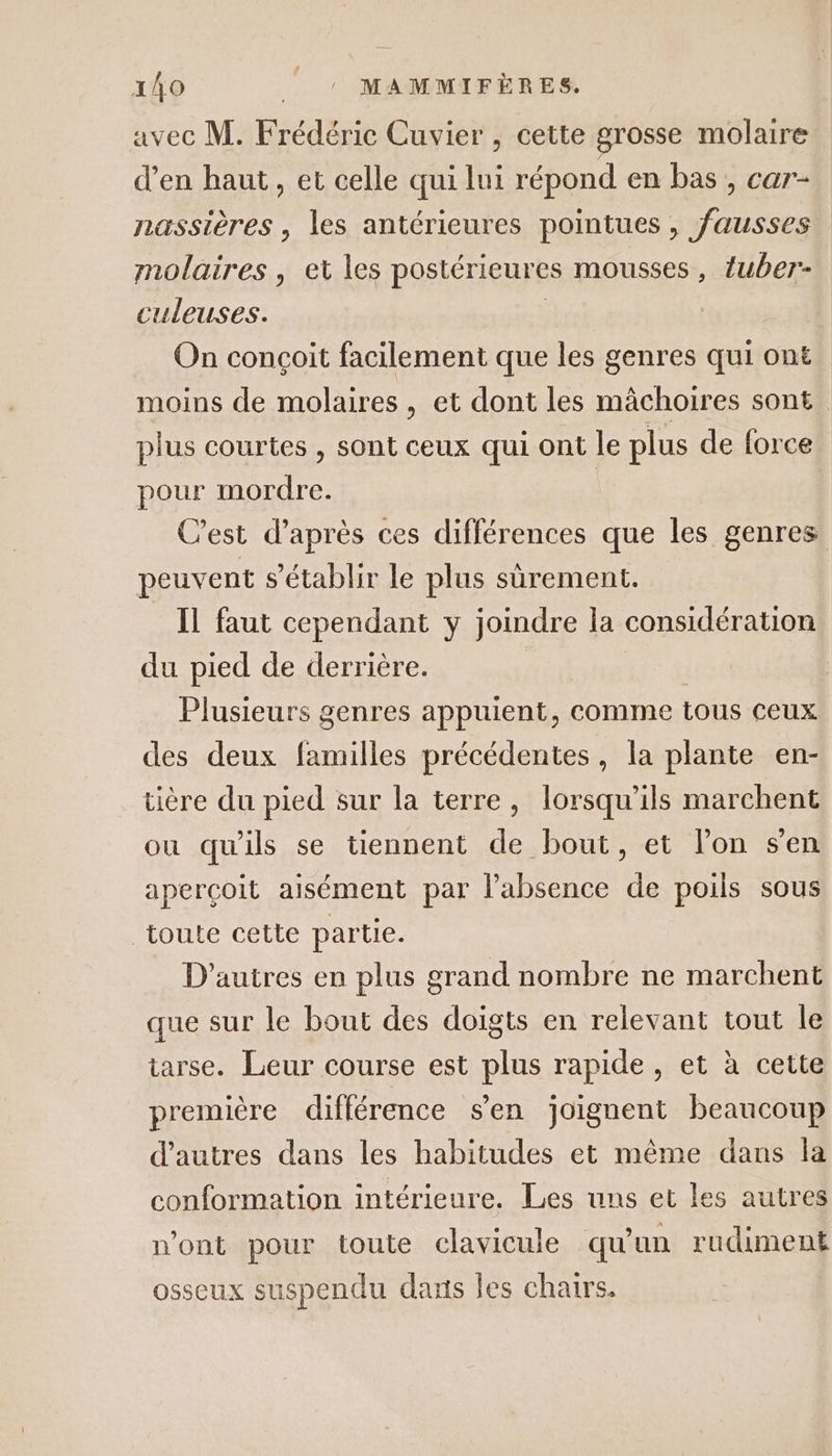 avec M. Frédéric Cuvier , cette grosse molaire d'en haut, et celle qui lui répond en bas , car- nassières , les antérieures pointues, fausses molaires , et les postérieures mousses, {uber- culeuses. | On conçoit facilement que les genres qui ont moins de molaires , et dont les màchoires sont plus courtes , sont ceux qui ont le plus de force pour mordre. C’est d’après ces différences que les genres peuvent s'établir le plus sûrement. Il faut cependant y joindre la considération du pied de derrière. Plusieurs genres appuient, comme tous ceux des deux familles précédentes, la plante en- tière du pied sur la terre, lorsqu'ils marchent ou qu'ils se tiennent de bout, et lon s'en aperçoit aisément par l'absence de poils sous toute cette partie. D’autres en plus grand nombre ne marchent que sur le bout des doïgts en relevant tout le tarse. Leur course est plus rapide, et à cette première différence s'en joignent beaucoup d’autres dans les habitudes et même dans la conformation intérieure. Les uns et les autres n'ont pour toute clavicule qu'un rudiment osseux suspendu daxis les chars.
