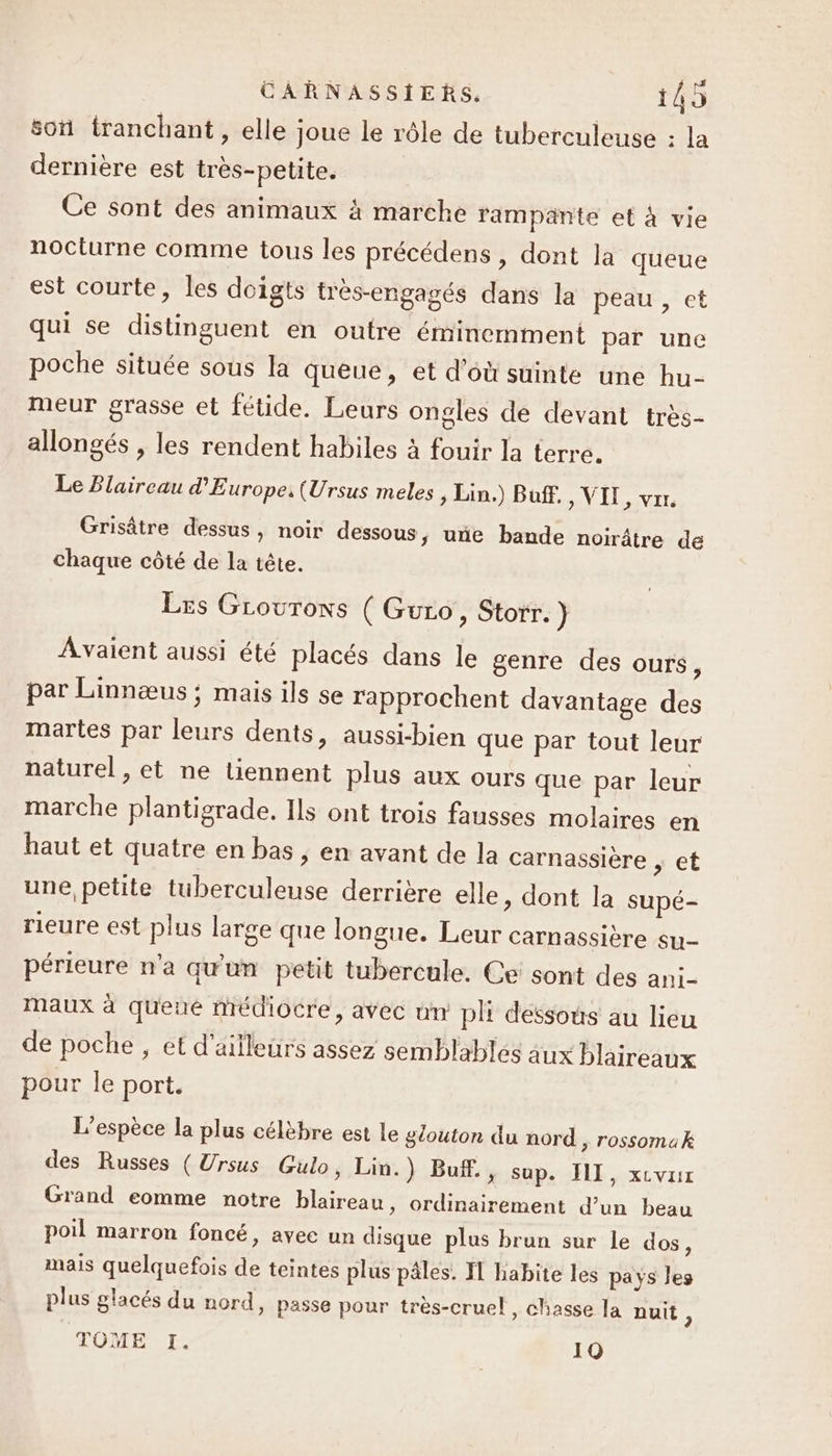 son tranchant, elle joue le rôle de tuberculeuse : la dernière est très-petite. Ce sont des animaux à marche rampänte et à vie nocturne comme tous les précédens, dont la queue est courte, les doigts trés-engagés dans la peau , et qui se distinguent en outre éminemment par une poche située sous la queue, et d'où suinte une hu- meur grasse et fétide. Leurs ongles de devant très- allongés , les rendent habiles à fouir la terre. Le Blaircau d'Europe, (Ursus meles ; Lin.) Buff. , VIE, vrr. Grisâtre dessus, noir dessous, uñe bande noirâtre de chaque côté de la tête. Les Grouronxs ( Guro, Storr. } ÂAvaient aussi été placés dans le genre des ours, par Linnæus ; mais ils se rapprochent davantage des martes par leurs dents, aussi-bien que par tout leur naturel, et ne tiennent plus aux ours que par leur marche plantigrade. Ils ont trois fausses molaires en haut et quatre en bas, en avant de la carnassière , et une petite tuberculeuse derrière elle, dont la supé- rieure est plus large que longue. Leur carnassière su- périeure n'a qu'un petit tubercule. Ce sont des ani- maux à queué Médiocre, avec un pli dessous au lieu de poche , et d'ailleurs assez semblables aux blaireaux pour le port. L'espèce la plus célèbre est le géouton du nord , rossomak des Russes (Ursus Gulo, Lin.) Buff., sup. III, xcvur Grand eomme notre blaireau, ordinairement d’un beau poil marron foncé, avec un disque plus brun sur le dos, mais quelquefois de teintes plus pâles. IT habite les pays les plus glacés du nord, passe pour très-cruel, chasse la nuit s TOME I. 10