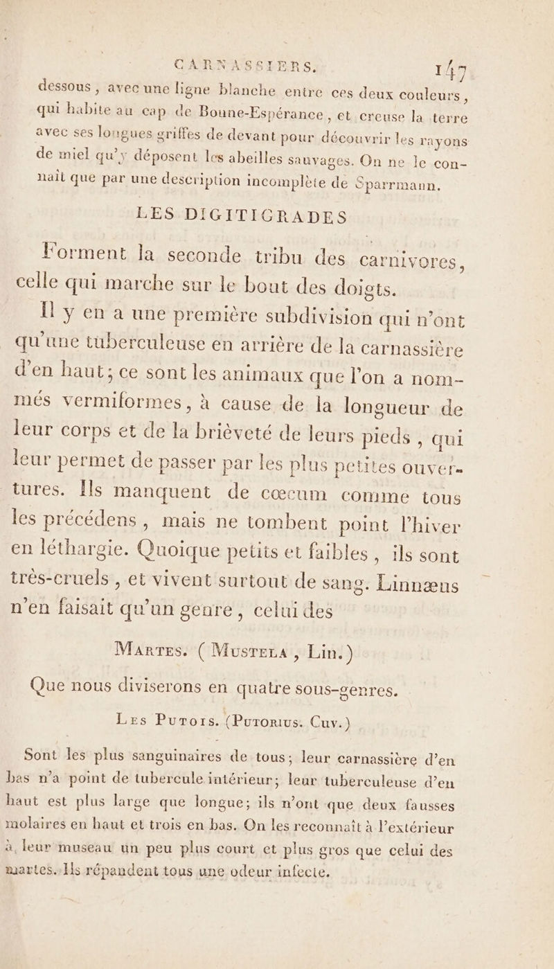 dessous , avec une ligne blanche entre ces deux couleurs ; qui habite au cap de Boune-Espérance , et creuse la terre avec ses longues griffes de devant pour découvrir les rayons de miel qu’ y déposent les abeilles sauvages. On ne le con- nail que par une description incomplète de Sparrmann. LES DIGITIGRADES Forment la seconde tribu des carnivores, celle qui marche sur le bout des doigts. y en a une première subdivision qui n’ont qu'une tuberculeuse en arrière de Ja carnassière d'en haut; ce sont les animaux que l’on a nom- més vermiformes, à cause de la longueur de leur corps et de la brièveté de leurs pieds , qui leur permet de passer par les plus petites ouver. tures. Îls manquent de cœcum comme tous les précédens, mais ne tombent point l'hiver en léthargie. Quoique petits et faibles, ils sont trés-cruels , et vivent surtout de sang. Linnæns n'en faisait qu’un genre, celui des Mantes. (Musrera , Lin.) Que nous diviserons en quatre sous-genres. Les Purors. (Purorius. Cuv.) Sont les plus sanguinaires de tous; leur carnassière d’en bas n'a point de tubercule intérieur; leur tuberculeuse d’en haut est plus large que longue; ils n’ont que deux fausses molaires en haut et trois en bas. On les reconnaît à l’extérieur à, leur museau un peu plus court et plus gros que celui des martes.Ils répandent tous une odeur infecte.