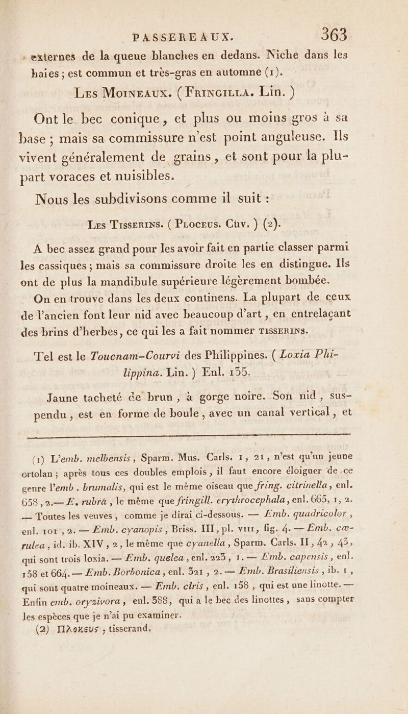 . externes de la queue blanches en dedans. Niche dans les haies ; est commun et très-gras en automne (1). Les Moïneaux. ( Frincrcra. Lin.) Ont le bec conique, et plus ou moins gros à sa base ; mais sa commissure n'est point anguleuse. Ils vivent généralement de grains, et sont pour la plu- part voraces et nuisibles. Nous les subdivisons comme il suit : Les Trssenins. ( PLocrus. Cuv. ) (2). À bec assez grand pour les avoir fait en partie classer parmi les cassiques ; mais sa commissure droite les en distingue. Ils ont de plus la mandibule supérieure légèrement bombée. On en trouve dans les deux continens. La plupart de ceux de l’ancien font leur nid avee beaucoup d’art , en entrelaçant des brins d'herbes, ce qui les a fait nommer TissErINs. Tel est le Toucnam-Courvi des Philippines. ( Loxia Phi- lippina. Lin.) Enl. 199. Jaune tacheté ce brun, à gorge noire. Son md, sus- pendu , est en forme de boule , avec un canal vertical , et 0 (1) L’emb. melbensis, Sparm. Mus. Carls. 1, 21, n'est qu'un jeune ortolan ; après tous ces doubles emplois , il faut encore éloigner de .ce genre l’emb . brumalis, qui est le mème oiseau que fring. citrinella , enl. 658 ,2.— Æ, rubr4 , le mème que fringill. erythrocephala , enl. 665, x, 2. _— Toutes les veuves, comme je dirai ci-dessous. — Æmb. quadricolor , en]. 101,2. — Æmb. cyanopis , Briss. HIT, pl. vnir, fig. 4. — Emb. cæ- rulea , id. ib. XIV , 2, le mème que cyanella , Sparm. Carls. IE, 42, 45, qui sont trois loxia. — Emb. quelea ,enl. 225, 1.— Ernb. capensis, en!. 158 et 664.— Emb. Borbonica, enl. 321, 2. — Emb. Brasiliensis ,1b.1, qui sont quatre MOIneaux. — Emb. ciris , enl. 158 , qui est une linotte. — Enlin emb. oryzivora, enl. 388, qui a le bec des linottes, sans compter les espèces que je n’ai pu examiner. (2) IAoxsus ; tisserand.