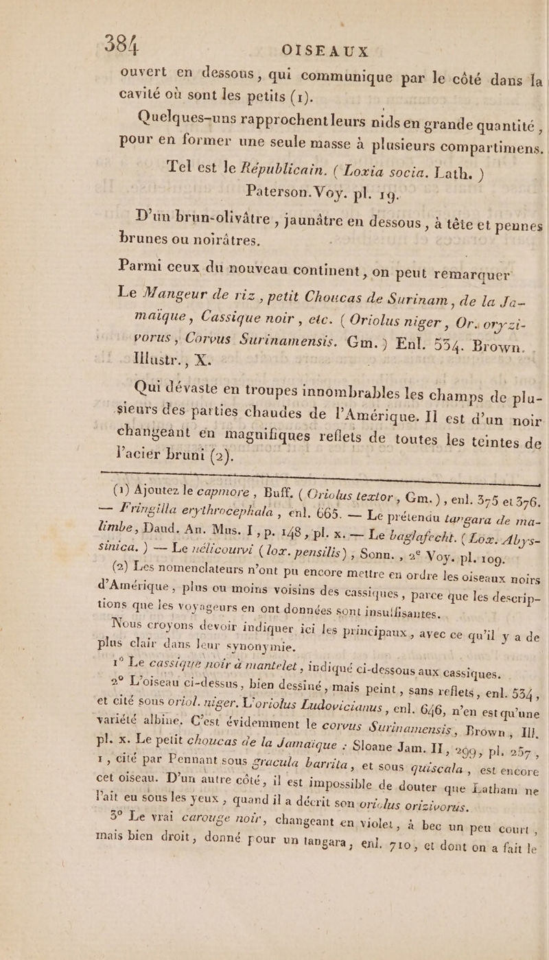 38/4 OISEAUX ouvert en dessous, qui communique par le côté dans fa cavilé où sont les petits (x). Quelques-uns rapprochent leurs nids en grande quantité , pour en former une seule masse à plusieurs compartimens. Tel est le Républicain. ( Loxia socia. Lath. ) Paterson.Voy. pl. 19. D'un brun-olivâtre , jaunâtre en dessous » à tête et pennes brunes ou noirâtres. Parmi ceux du nouveau continent , on peut remarquer Le WMangeur de riz, petit Choucas de Surinam, de la Ja maique, Cassique noir , etc. ( Oriolus niger, Or. OTY 2t- Porus , Corvus Surinamensis. Gm.) Enl. 554. Brown. Illüstr, X: Qui dévaste en troupes innombrables les champs de plu- Sieurs des parties chaudes de l'Amérique. Il est d’un noir changeant en magnifiques reflets de toutes les teintes de l'acier bruni (2). (1) Ajoutez le capmore , Buff, (Criolus textor, Gm. ), enl. 355 et 376. — Fringilla erythrocephala , enl. 665. — Le prétendu largara de ma- limbe, Daud. An. Mus. I, p. 148 , pl. x. — Le bas: glafecht. (Lox. Abys- sinica. ) — Le nélicourvi (ox. pensilis) , Sonn. , 2° Voy. pl. 100. (2) Les nomenclateurs n’ont pu encore mettre en ordre les oiseaux noirs d'Amérique, plus ou moins voisins des cassiques , parce que les descrip- tions que les voyageurs en ont données sont insulfisantes. Nous croyons devoir indiquer ici les principaux, avec ce qu’il y a de plus clair dans Jeur synonymie, 1° Le cassique notr &amp; mantelet , indiqué ci-dessous aux Cassiques. 2° L'oiseau ci-dessus, bien dessiné, mais peint &gt; Sans reflets, enl. 534, et cité sous oriol. niger. L’oriolus Ludovicianus , nl. 646, n’en est qu'une variété albine. C’est évideminent le Corvus Surinamensis, Brown ; I}, pl. x. Le petit choucas de la Jamaïque : Sloane Jam. II, 209, pl 257, 1, Cité par Pennant sous gracula barrita » € SOUS quiscala, est encore cet oiseau. D'un autre côté, il est im possible de douter que Éatham ne crit son -oriolus Orlzivorus. 39 Le vrai Carouge noir, changeant en viole: lPait eu sous les yeux , quand il a dé » à bec un peu court , mais bien droit, donné pour un langara, enl. 710, et dont on a fait le