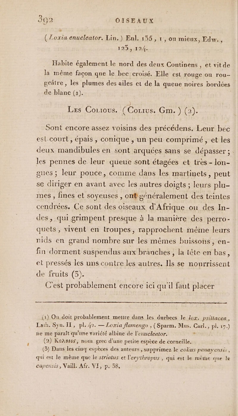 ( Zoxta enucleator. Lin.) Enl. 135, r, ou miéux, Edw., 129, 124. Habite également le nord des deux Continens , et vit de la même facon que le bec croisé. Elle est rouge où rou-— geñtre, les plumes des ailes et de la queue noires bordées de blanc (x). à Les Corrous. ( Corrus. Gm. ) (2). Sont encore assez voisins des précédens. Leur bec ési court &gt; épais À conique , un peu comprimé, et les deux mandibules en sont arquées sans se dépasser ; . les pennes de leur queue sont étagées et très - lon- gues ; leur pouce, comme dans les martinets, peut se diriger en avant avec les autres doigts ; leurs plu- mes , fines et soyeuses , ont généralement des teintes cendrées. Ce sont des oiseaux d'Afrique ou des In- des, qui grimpent presque à la manière des perro- quets, vivent en troupes, rapprochent même leurs nids en grand nombre sur les mêmes buissons, en- fin dorment suspendus aux branches , la tête en bas, et pressés les uns contre les autres. Ils se nourrissent de fruits (3). C’est probablement encore ici qu'il faut placer (1) Ou doit probablement mettre dans les durbecs le ox. psittacea, Laih. Syn. If, pl. 42. — Loxia flamengo , (Sparm. Mus. Carl., pl. 17.) ne me paraît qu’une variété albine de l’erzucleator. (2) KoAotos, nom grec d’une petite espèce de corneille. (3) Dans les cinq espèces des auteurs , supprimez le colius panayensis , qui est le même que le striatus et Verÿthropus , qui est le mème que le capensis , Vaill. Afr. VI, p. 38.