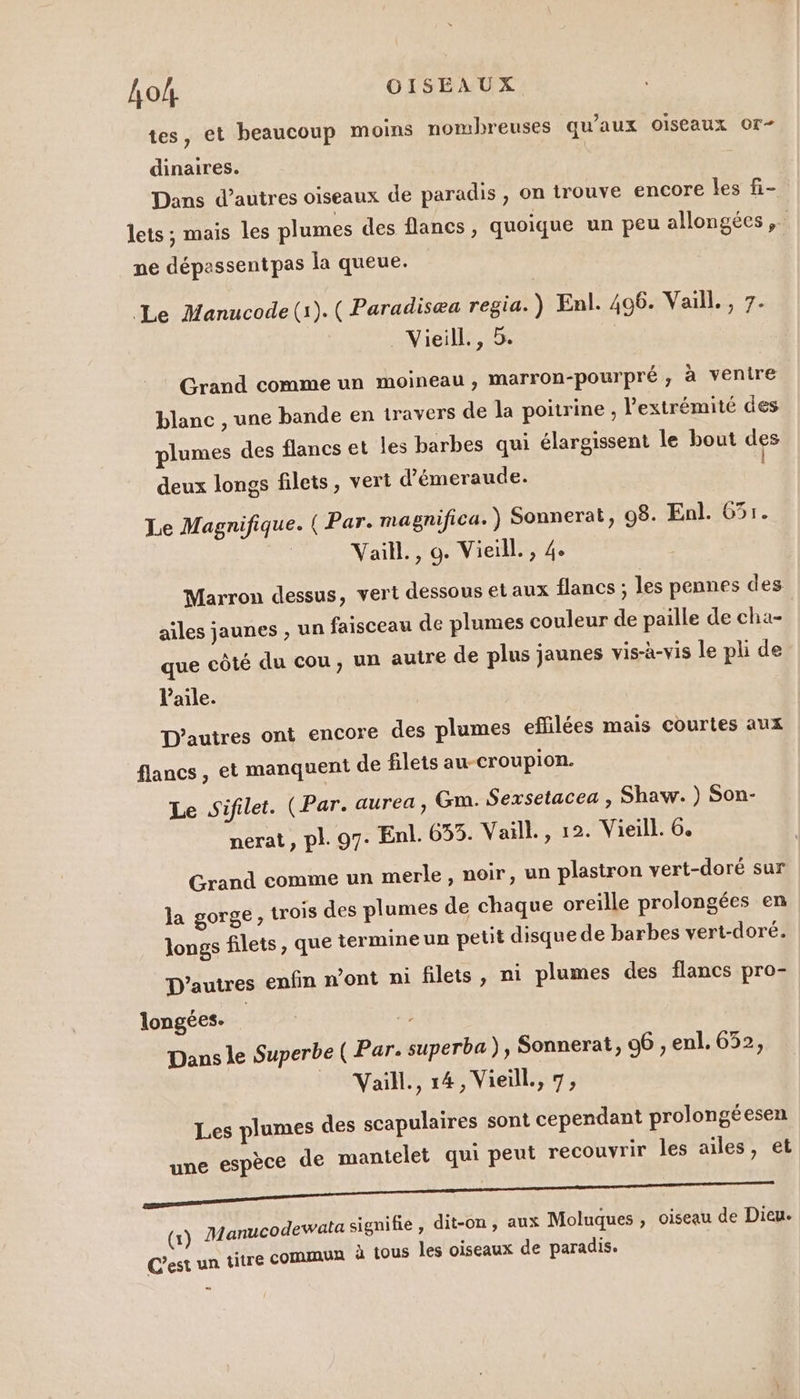 tes, et beaucoup moins nombreuses qu'aux oiseaux 0r- dinaires. Dans d’autres oiseaux de paradis , on trouve encore les fi- lets ; mais les plumes des flancs, quoique un peu allongées ne dépassent pas la queue. Le Manucode(:).( Paradisæa regia. ) Enl. 496. Vaill., 7. . Vieill., 5. Grand comme un moineau , marron-pourpré,; à ventre blanc , une bande en travers de la poitrine , l'extrémité des plumes des flancs et les barbes qui élargissent le bout des | deux longs filets, vert d’émeraude. Le Magnifique. ( Par. magnifica. ) Sonnerat, 98. Enl. 631. | Vaill., 9. Vieill. , 4. Marron dessus, vert dessous et aux flancs ; les pennes des ailes jaunes , un faisceau de plumes couleur de paille de cha- que côté du cou, un autre de plus jaunes vis-à-vis le pli de l'aile. D’autres ont encore des plumes eflilées mais courtes aux flancs, et manquent de filets au-croupion. Le Sifilet. (Par. aurea, Gm. Sexsetacea , Shaw. ) Son- nerat, pl. 97. Enl. 633. Vaill., 12. Vieill. 6. Grand comme un merle, noir, un plastron vert-doré sur la gorge, trois des plumes de chaque oreille prolongées en longs filets, que termineun petit disque de barbes vert-doré. D’autres enfin n’ont ni filets, ni plumes des flancs pro- longées-. | Dans le Superbe ( Par. superba), Sonnerat, 96 , enl. 652, Vaill., 14, Vieïll., 7, Les plumes des scapulaires sont cependant prolongéesen une espèce de mantelet qui peut recouvrir les ailes, et dewata signifie, dit-on, aux Moluques , oiseau de Dieu. (x) Manuco mmun à tous les oiseaux de paradis. C’est un titre CO