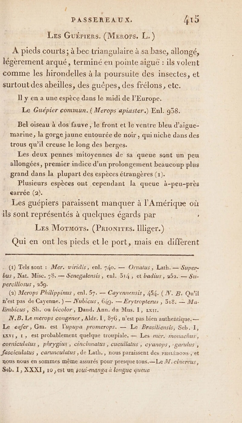 { PASSEREAU X; A Les Guériers. (Meroprs. L.) À pieds courts ; à bec triangulaire à sa base, allongé, légèrement arqué, terminé en pointe aiguë : ils volent comme les hirondelles à la poursuite des insectes, et surtout des abeilles, des guêpes, des frélons, etc. Il y en a une espèce dans le midi de l’Europe. | Le Guépier commun. ( Merops apiaster.) Enl. 958. Bel oiseau à dos fauve, le front et le ventre bleu d’aigue- marine, la gorge jaune entourée de noir , qui niche dans des trous qu’il creuse le long des berges. Les deux pennes mitoyennes de sa queue sont un peu allongées, premier indice d’un prolongement beaucoup plus grand dans la plupart des espèces étrangères (x). Plusieurs espèces ont cependant la queue à-peu-près garrée (2). Les guépiers paraissent manquer à l'Amérique où ils sont représentés à quelques égards par Les Mormors. (PrioniTes. Iliger.) Qui en ont les pieds et le port, mais en diffèrent (1) Tels sont : Mer. viridis, enl. 740. — Ornalus, Lath. — Super. bus , Nat. Misc. 78. — Senegalensis, enl. 314, et badius , 252. — Su- perciliosus , 250. (2) Merops Philippinus , enl. 57. — Cayennensis, 454. (IN. B. Qu'il n’est pas de Cayenne. ) — Vubicus, 649. — Erytropterus , 318. — Ma- limbicus , Sh. ou bicolor , Daud. Ann. du Mus. I, zxr. N.B. Le merops congener , Aldr. I, 876 , n’est pas bien authentique. — Le cafer, Gm. est l’upupa promerops. — Le Brasiliensis, Seb. 1, LXVI, 1, est probablement quelque troupiale, — Les mèr, monachus, corniculatus , phrygius , cincinnatus , cucullatus , cyanops, garulus , Jasciculatus , carunculatus , de Lath., nous paraissent des PHiLÉpoNSs , et nous nous en sommes même assurés pour presque tous.—Le #7, cinereus, Seb, I, XXXI, 10 ,est un soui-manga à longue queue