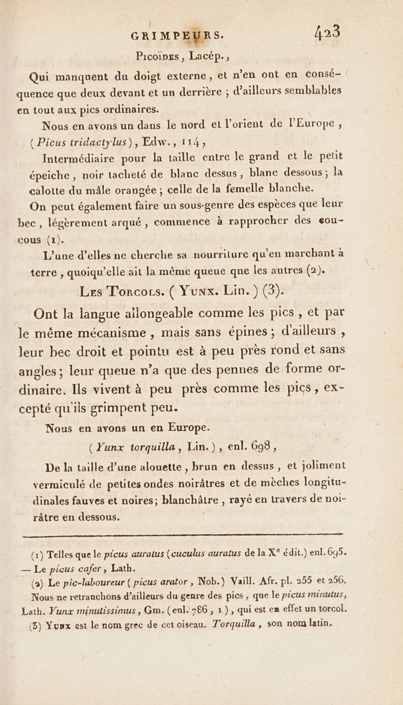 Picoinss, Lacép., Qui manqnent du doigt externe, et n’en ont en consé- / quence que deux devant et un derrière ; d’ailleurs semblables en tout aux pics ordinaires. Nous en avons un dans le nord et lorient de l’Europe, ( Picus tridactylus), Edw., 114, Intermédiaire pour la taille entre le grand et le peut épeiche , noir tacheté de blanc dessus, blanc dessous ; la calotte du mâle orangée ; celle de la femelle blanche. On peut également faire un sous-genre des espèces que leur bec , légèrement arqué , commence à rapprocher des eou- cous (1). L'une d’elles ne cherche sa nourriture qu'en marchant à terre , quoiqu’elle ait la même queue qne les autres (2). Les T'orcors. ( Yunx. Lin. ) (3). Ont la langue ailongeable comme les pics, et par le même mécanisme , mais sans épines ; d'ailleurs , leur bec droit et pointu est à peu près rond et sans angles ; leur queue n’a que des pennes de forme or- dinaire. Ils vivent à peu près comme les pics, ex- cepté qu'ils grimpent peu. Nous en avons un en Europe. (Funx torquilla, Lin.) , enl. 698, De la taille d’une alouette , brun en dessus , et joliment vermiculé de petites ondes noirâtres et de mèches longitu- dinales fauves et noires; blanchâtre , rayé en travers de noi- râtre en dessous. | om (x) Telles que le picus auratus (cuculus auratus de la X° édit.) enl.695. — Le picus cafer, Lath. (a) Le pic-laboureur ( picus arator, Nob.) Vaill. Afr. pl. 255 et 2506. Nous ne retranchons d’ailleurs du genre des pies , que le picus minutus, Lath. Funx minutissimus , Gm. (enl. 786 , 1), qui est em effet un torcol. (3) Yuux est le nom grec de cet oiseau. T'orquilla, son nom latin.