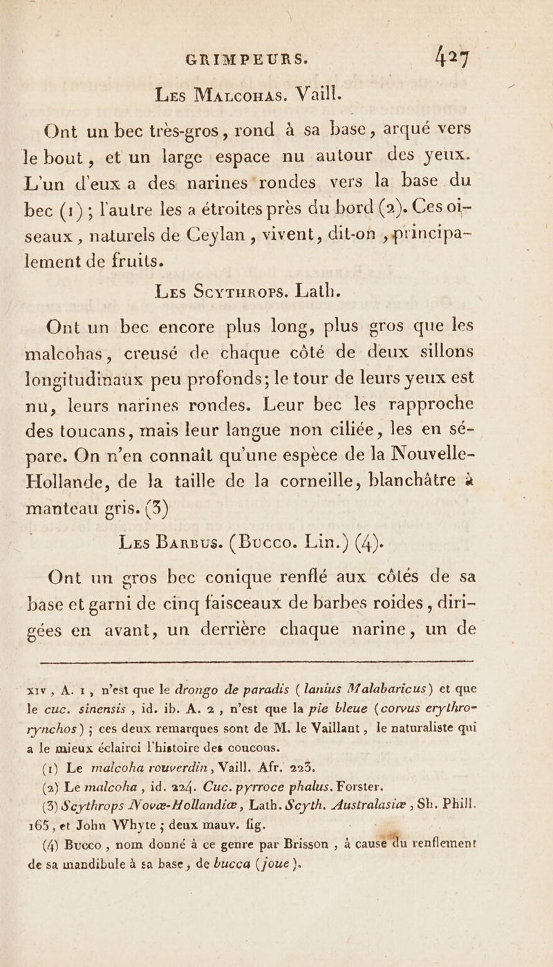 Les Marcoumas. Vaill. Ont un bec très-gros, rond à sa base, arqué vers le bout, et un large espace nu autour des yeux. L'un d'eux a des narines‘rondes vers la base du bec (1); l'autre les a étroites près du bord (2). Ces oï- seaux , naturels de Ceylan, vivent, dit-on ,principa- lement de fruits. Les Scyrurors. Lath. Ont un bec encore plus long, plus gros que les malcohas, creusé de chaque côté de deux sillons longitudimaux peu profonds; le tour de leurs yeux est nu, leurs narines rondes. Leur bec les rapproche des toucans, mais leur langue non ciliée, les en sé- pare. On n’en connait qu'une espèce de la Nouvelle- Hollande, de la taille de la corneille, blanchâtre à manteau gris. (3) Les Bansus. (Bucco. Lin.) (4). Ont un gros bec conique renflé aux côtés de sa base et garni de cinq faisceaux de barbes roides , diri- gées en avant, un derrière chaque narine, un de MXIV A IY nest que le drongo de paradis ( lanius Malabaricus) et que le cuc. sinensis , id. ib. À. 2 , n’est que la pie bleue (corvus erythro- rynchos) ; ces deux remarques sont de M. le Vaillant, le naturaliste qui a le mieux éclairci l'histoire des coucous. (1) Le malcoha rouverdin, Vaill. Afr. 223, (2) Le malcoha , id. 224. Cuc. pyrroce phalus. Forster. (3) Scythrops Novæ-Hollandiæ, Lath. Scyth. Australasiæ , Sh. Phill. 165 ,et John Whyte ; deux mauv. fig. (4) Bucco , nom donné à ce genre par Brisson , à ste tes de sa mandibule à sa base, de bucca (joue).