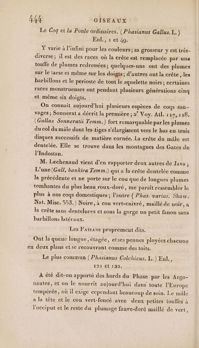 Le Coq et la Poule ordinaires. (Phasianus Gallus.L..) Enl., s et 49. Y varie à l'infini pour les couleurs ; sa grosseur y est trés- diverse; il est des races où la crête est remplacée par une touffe de plumes redressées; quelques-uns ont des plumes sur le tarse et même sur les doigts ; d’autres ont la crête , les barbillons et le perioste de tout le squelette noirs; certaines races monstrueuses ont pendant plusieurs générations cinq et même six doigts. On connait aujourd’hui plusieurs espèces de coqs sau- vages ; Sonnerat à décrit la première ; 2° Voy. Al. 1 17,116. (Gallus Sonneratii Temm.) fort remarquable par les plumes du col du mâle dont les tiges s’élargissent vers le bas en trois disques successifs de matière cornée. La crête du mâle est dentelée. Elle se trouve dans les montagnes des Gates de l’Indostan. M. Lechenaud vient d’en rapporter deux autres de Java ; L'une (Gall, bankiva Temm.) qui a la crête dentelée comme la précédente et ne porte sur le cou que de longues plumes tombantes du plus beau roux-doré , Me paraît ressembler le plus à nos coqs domestiques : Pautre ( Phas. varius. Shaw. Nat. Misc. 353.) Noire, à cou vert-cuivré, maillé de noir, à la crête sans dentelures et sous la gorge un petit fanon sans barbillons latéraux. Les Farsans proprement dits. Ont la queuc longue, étagée, etses pennes ployées chacune en deux plans et se recouvrant comme des toits. Le plus commun (Phasianus Colchicus. L.) Enl. À 121 et 122. À été dit-on apporté des bords du Phase par les Argo- nautes, et on le nourrit aujourd’hui dans toute l'Europe tempérée, où il exige cependant beaucoup de soin. Le mâle a la tête et le cou vert-foncé avec deux petites toulles à Vocciput et le reste du plumage fauve-doré maillé de vert,