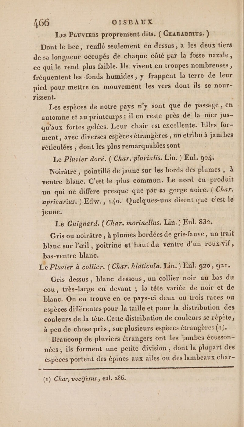 Les Puuvrers proprement dits. ( CaarADRIUS, ) Dont le bec, renflé seulement en dessus, a les deux tiers de sa longueur occupés de chaque côté par la fosse nazale, ce qui le rend plus faible. Ils vivent en troupes nombreuses , fréquentent les fonds humides , y frappent la terre de leur pied pour mettre en mouvement les vers dont ils se nour- rissent. | Les espèces de notre pays n’y sont que de passage, en automne et au printemps : il en reste près de la mer jus- qu'aux fortes gelées. Leur chair est excellente. Elles for- ment, avec diverses espèces étranbères , un etribu à jambes réticulées , dont les plus remarquables sont Le Pluvier doré. ( Char. pluvialis. Lin.) Enl. 904. Noirâtre, pointillé de jaune sur les bords des plumes , à ventre blanc. C’est le plus commun. Le nord en produit un qui ne diffère presque que par sa gorge noire. ( Char. apricarius. ) Edw., 140. Quelques-uns disent que c’est le jeune. Le Guignard. ( Char. morinellus. Lin.) Enl. 832. Gris ou noirâtre , à plumes bordées de gris-fauve, un trait blauc sur l'œil, poitrine et haut du ventre d’un roux-Vif , bas-ventre blanc. Le Pluvier à collier. (Char. hiaticula. Lin.) Enl. 920, 921. Gris dessus, blanc dessous, un collier noir au bas du cou, très-large en devant ; la tête variée de noir et de blanc. On en trouve en ce pays-ci deux ou trois races ou espèces différentes pour la taille et pour la distribution des couleurs de la tête. Cette distribution de couleurs se réptte, à peu de chose près, sur plusieurs espèces étrangères (1). Beaucoup de pluviers étrangers ont les jambes écusson- nées ; ils forment une petite division , dont la plupart des espèces portent des épines aux ailes ou des lambeaux char- RO TP (1) Char, vociferus , enl. 280.